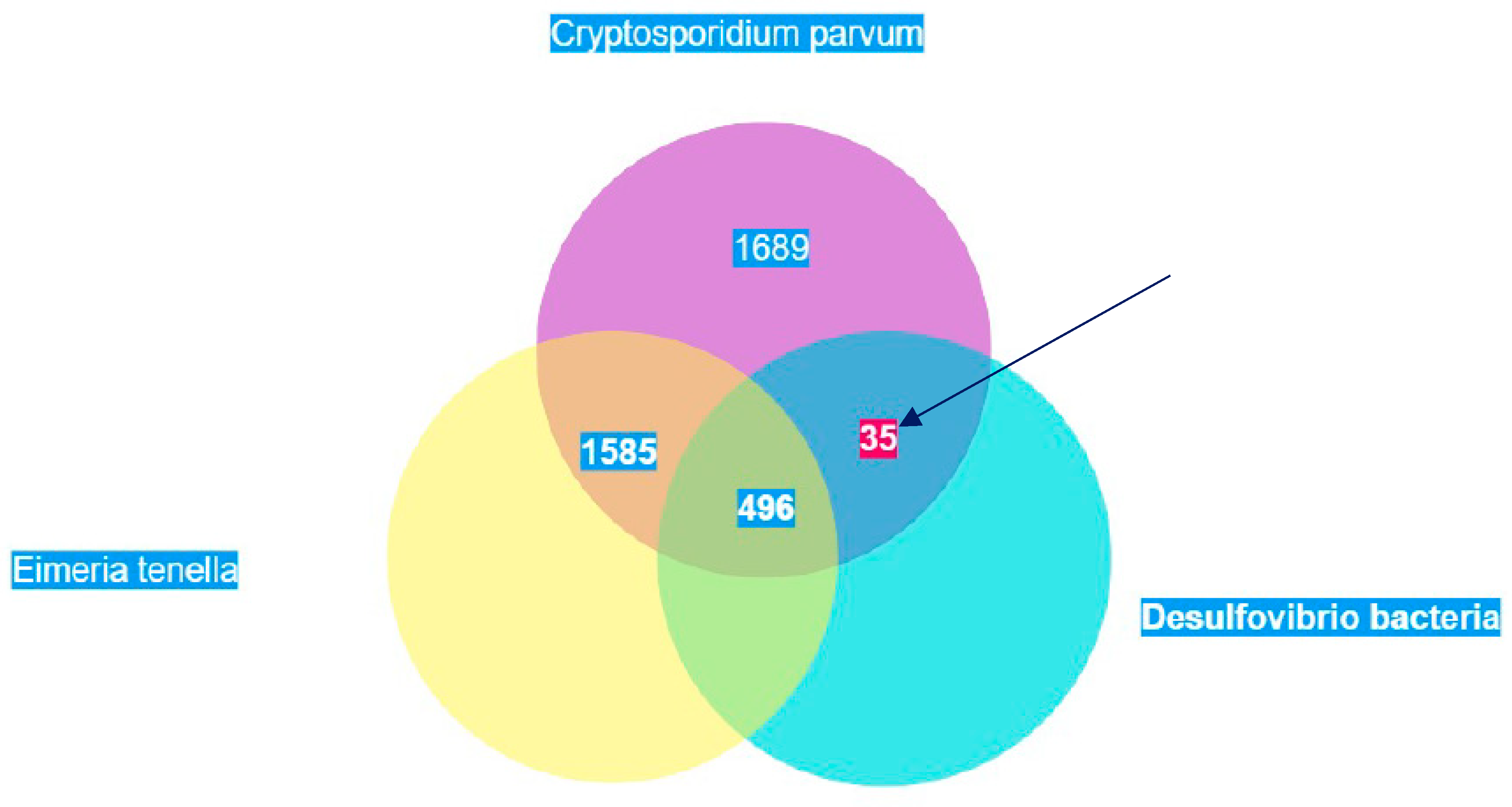 Preprints 91477 g023