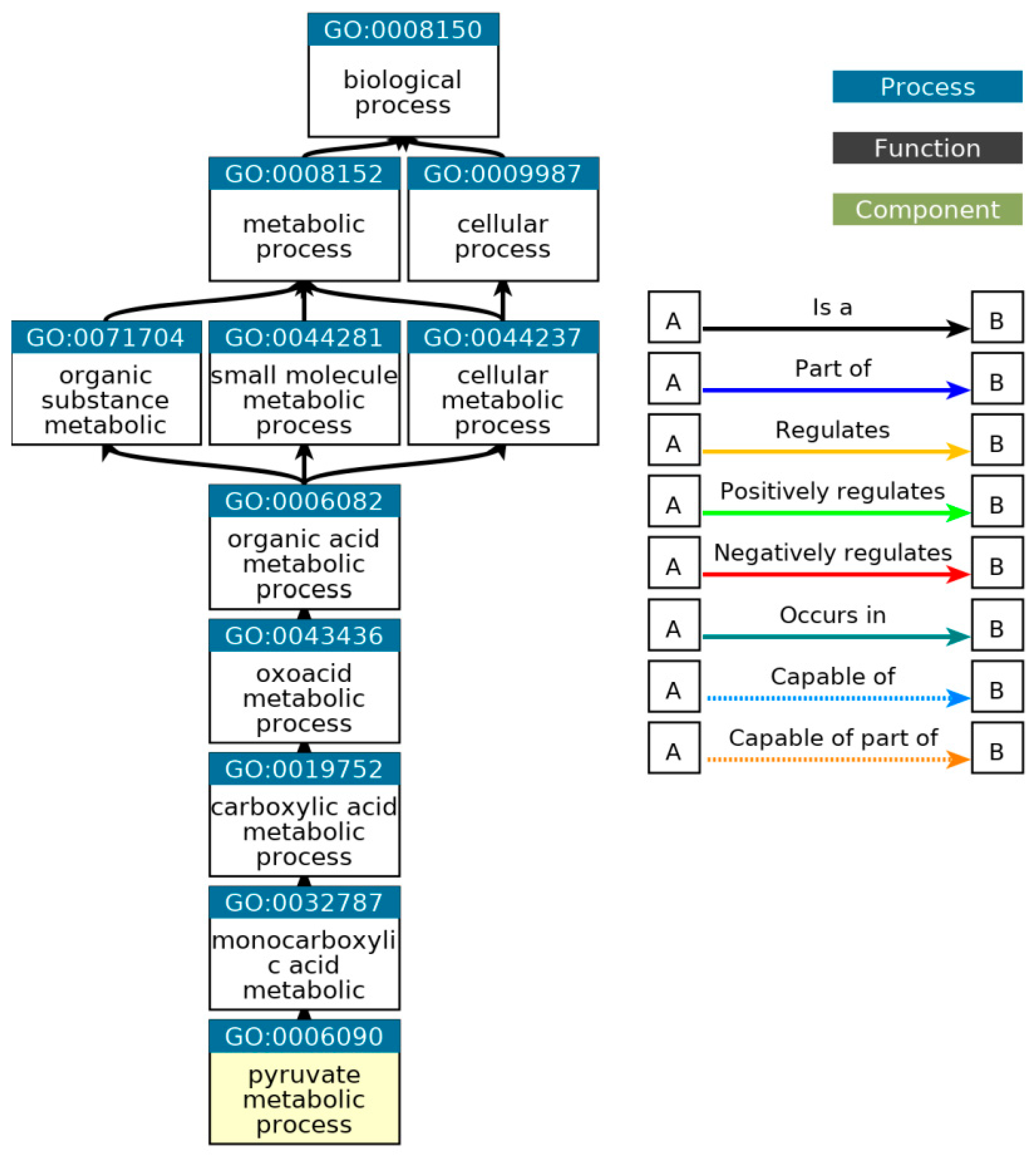 Preprints 91477 g025