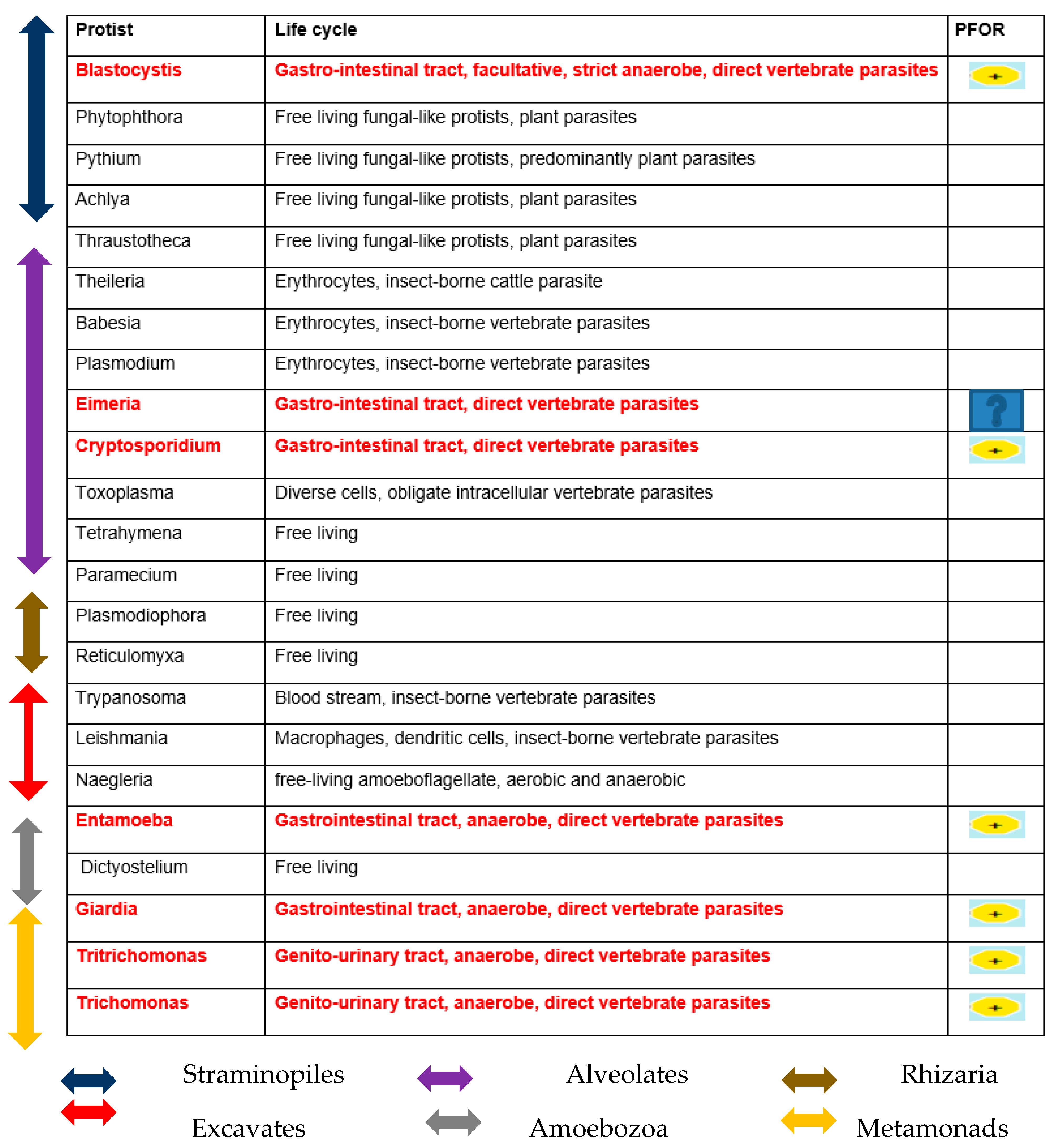 Preprints 91477 i008