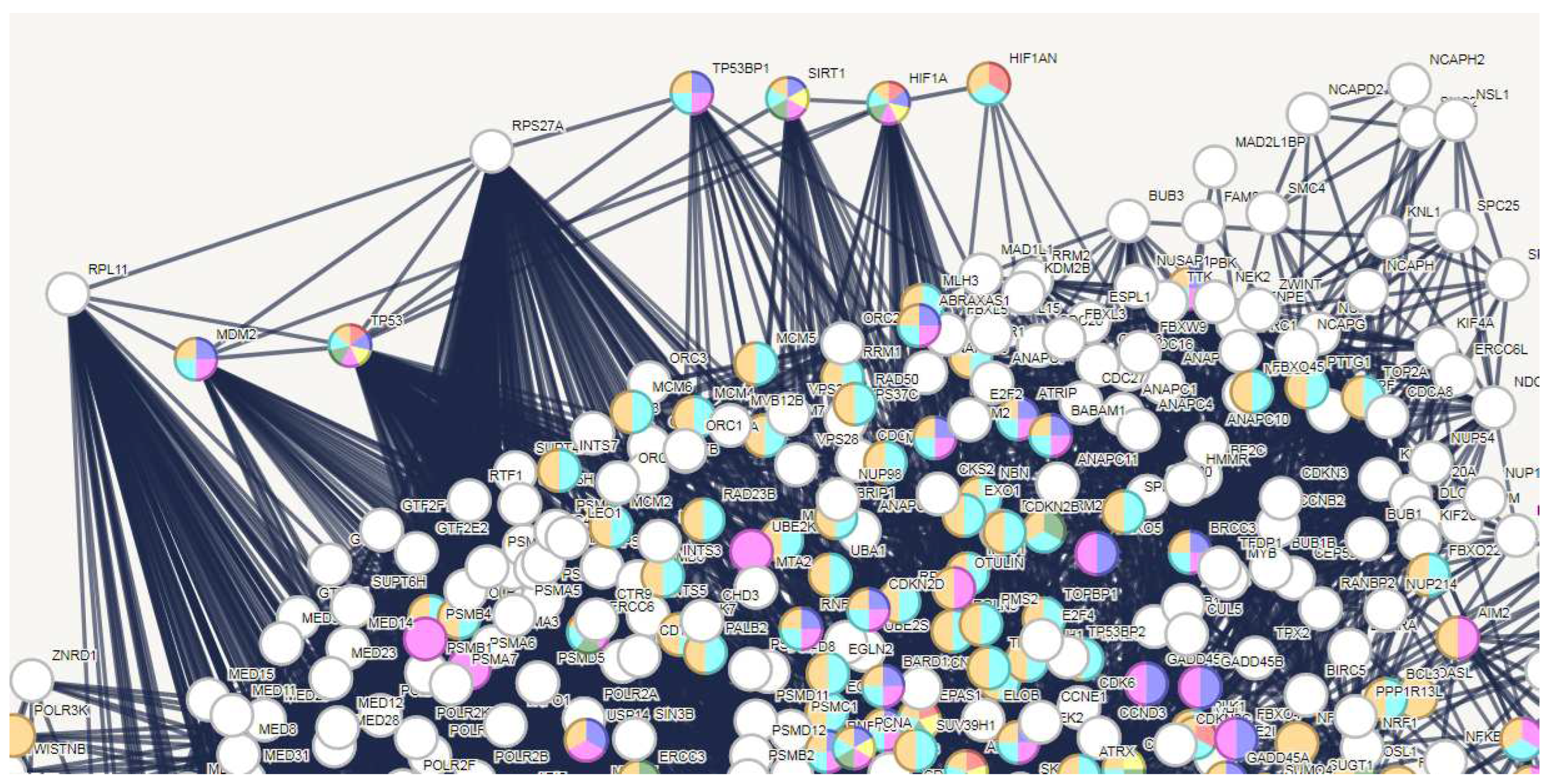 Preprints 98860 g002