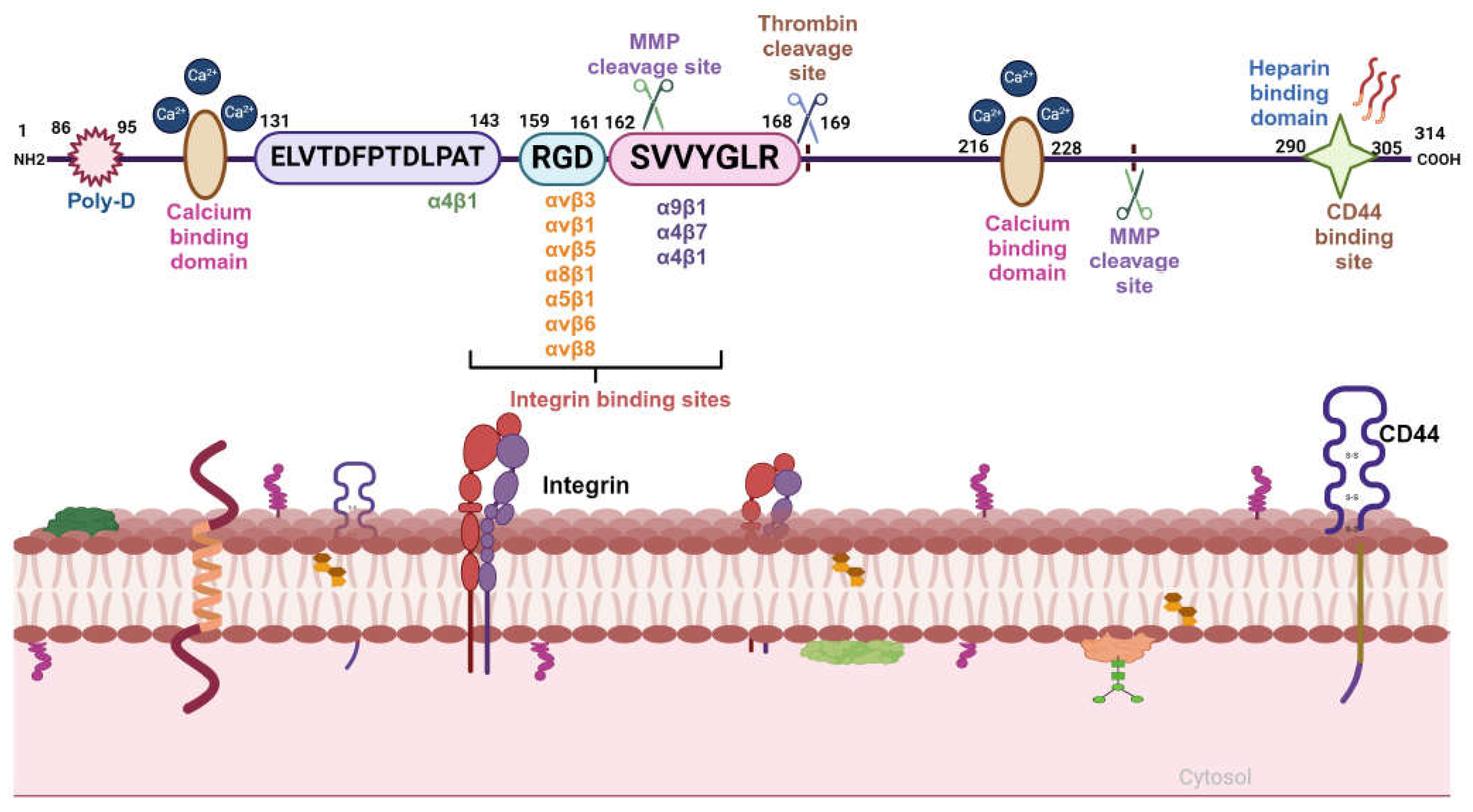 Preprints 106357 g001