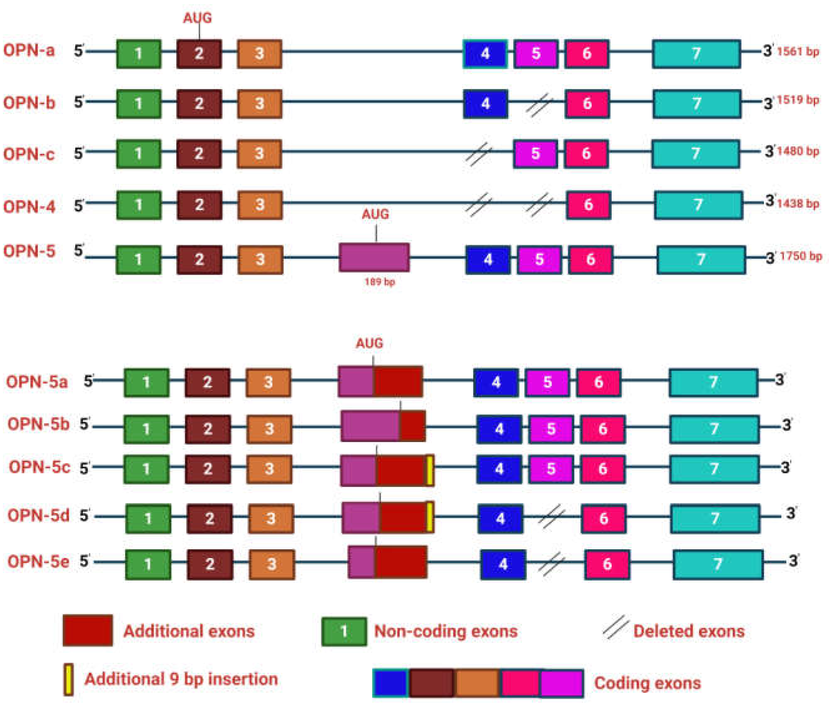 Preprints 106357 g002