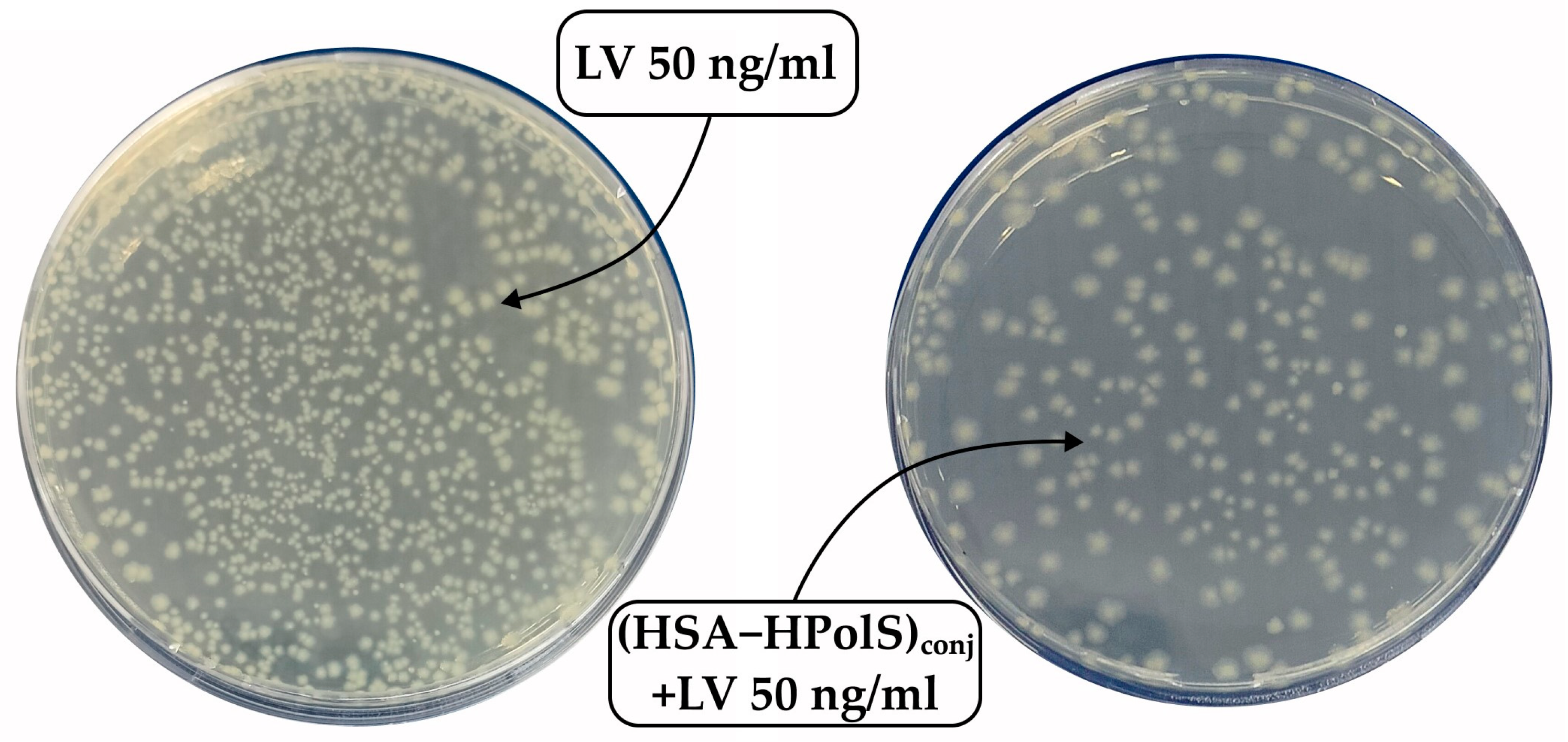 Preprints 89725 g011