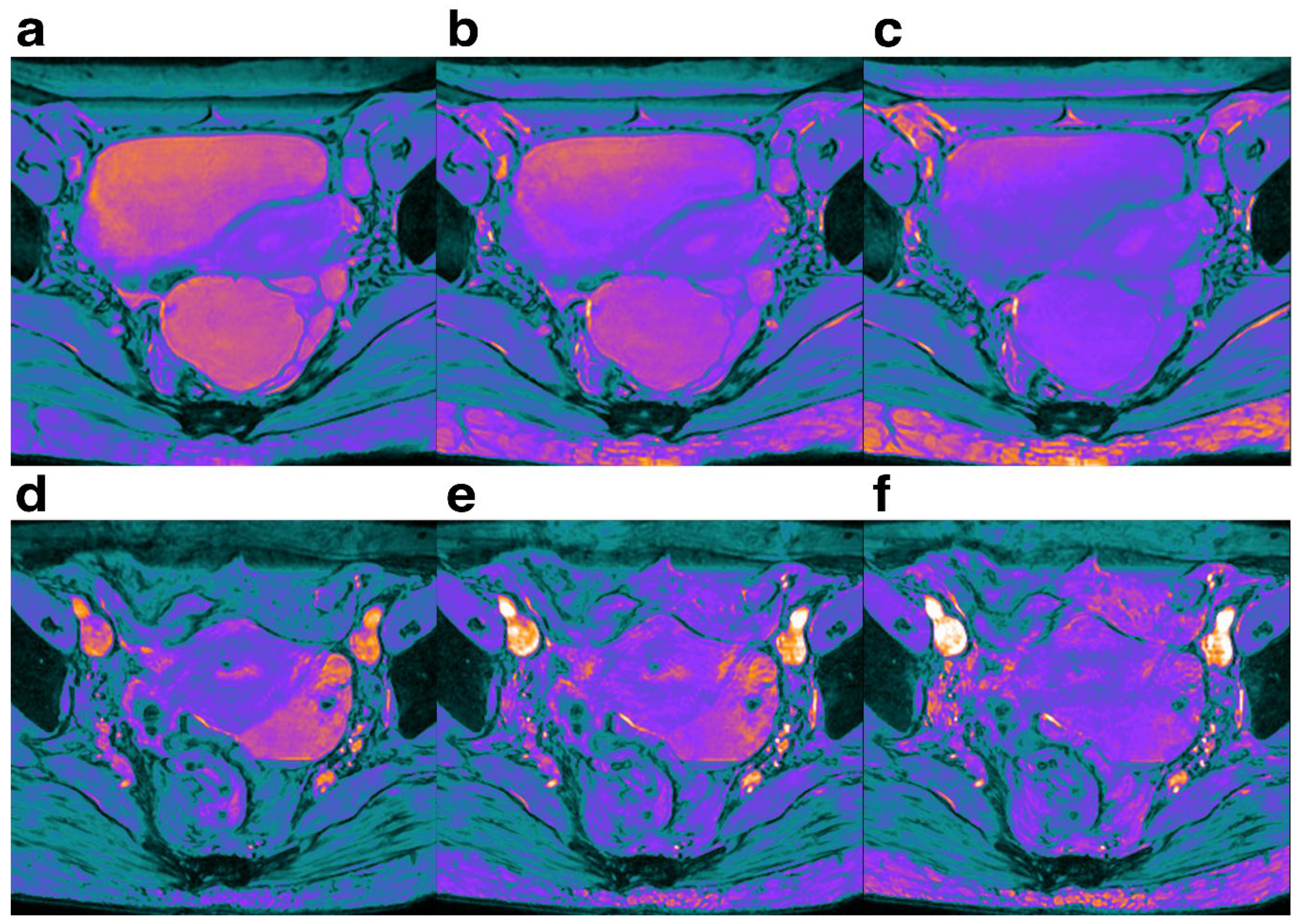 Preprints 108650 g005