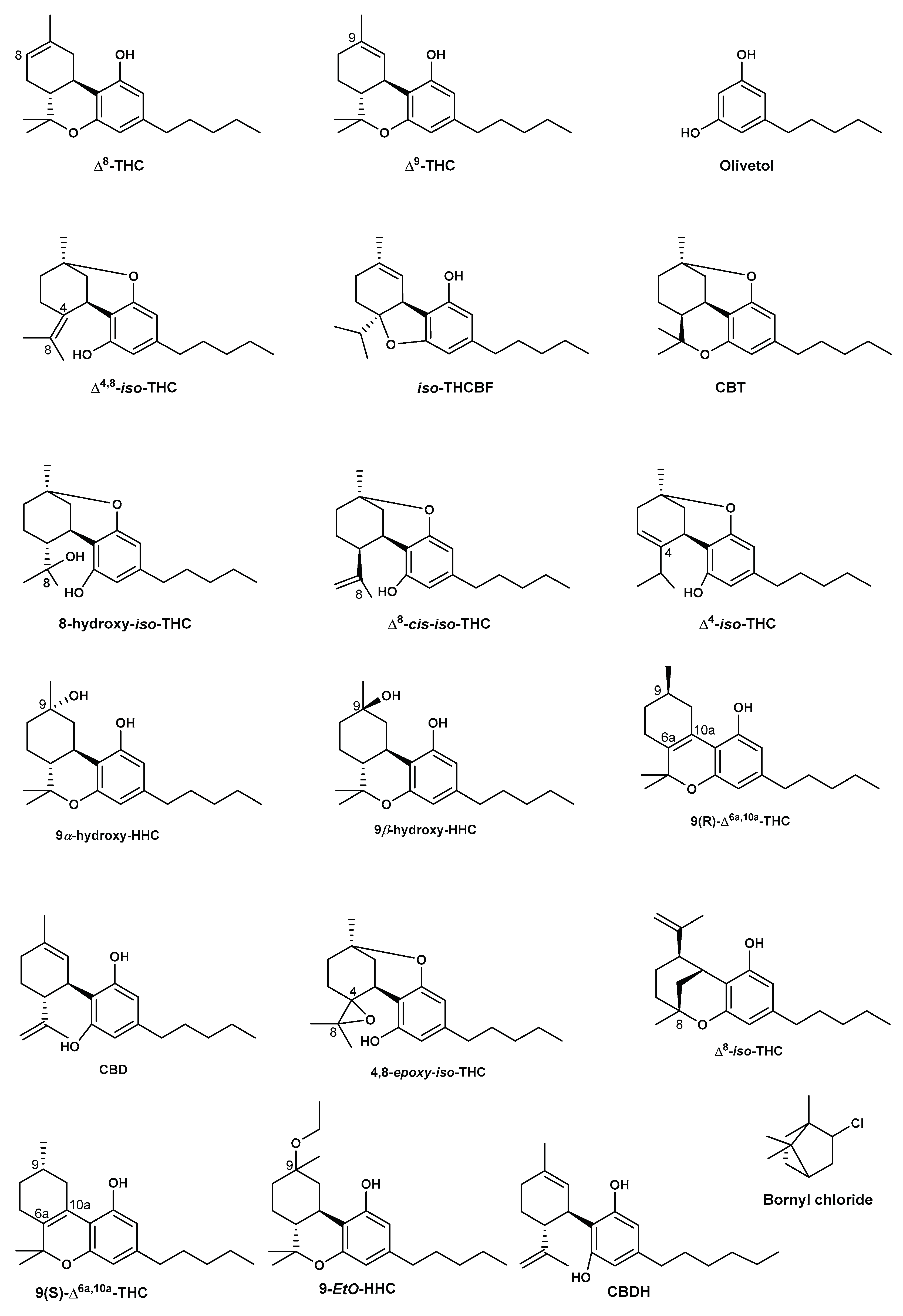 Preprints 99093 g005