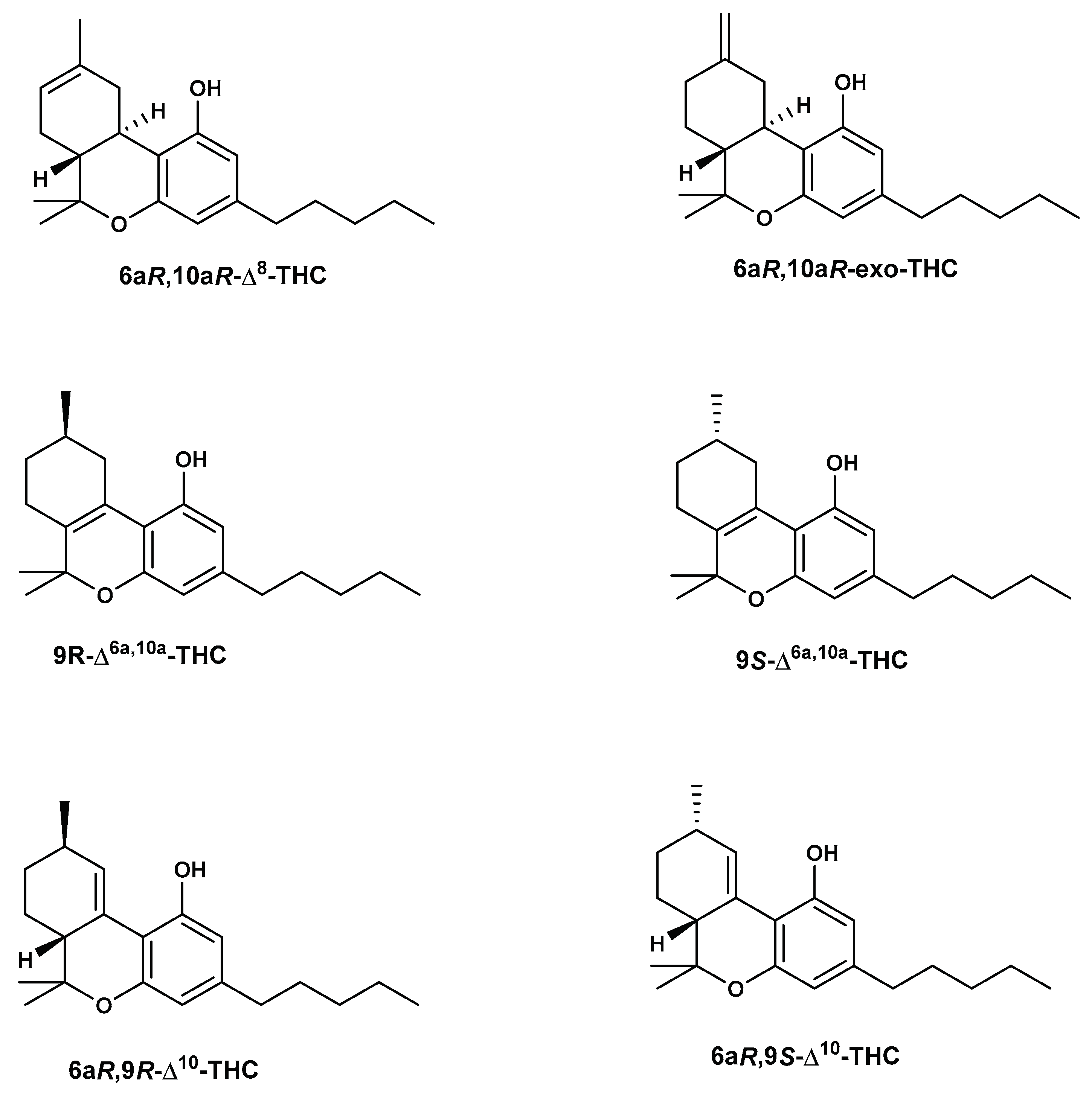 Preprints 99093 g006