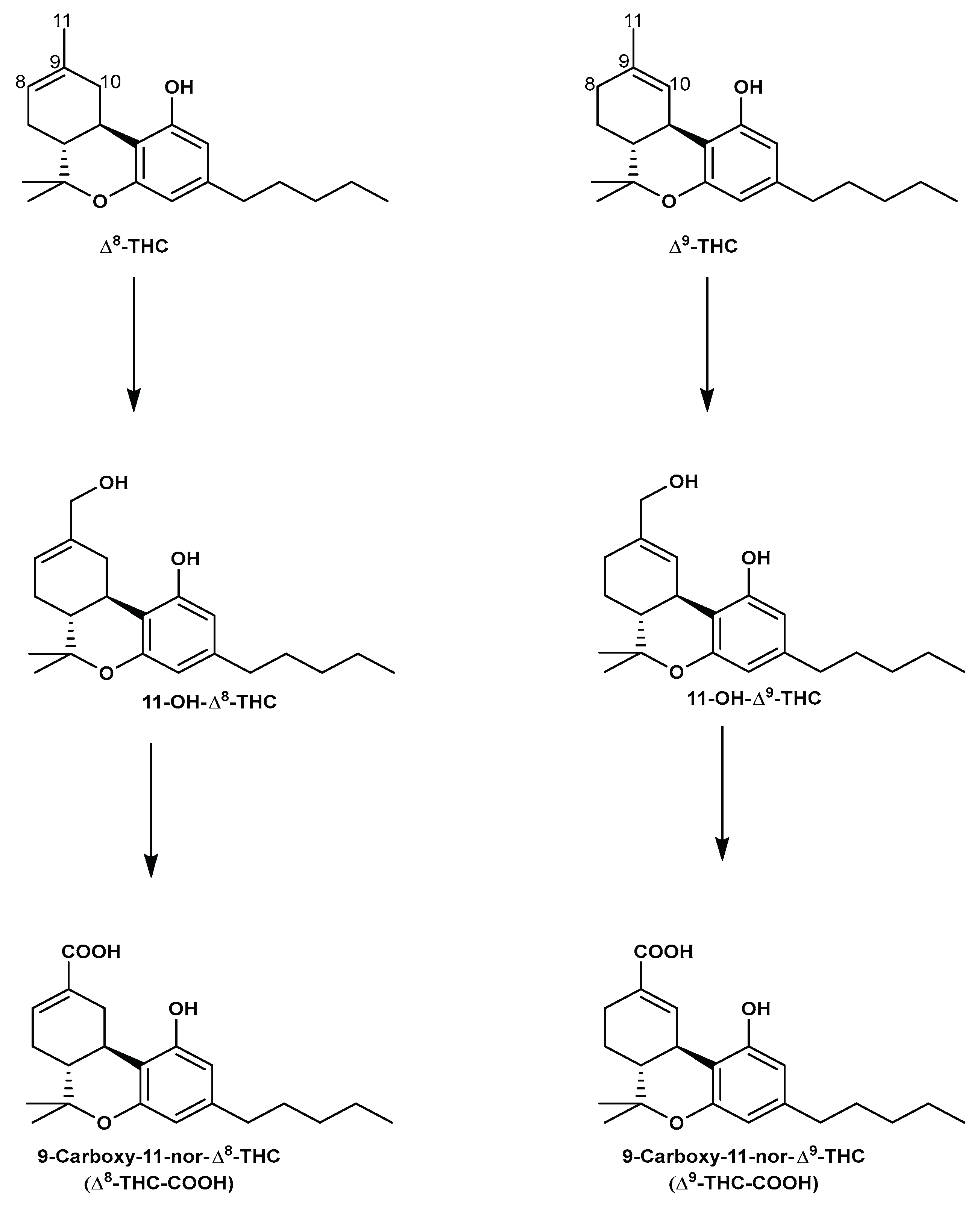 Preprints 99093 g007