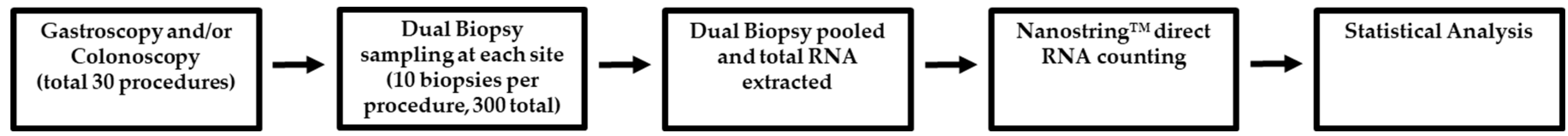 Preprints 137346 g004