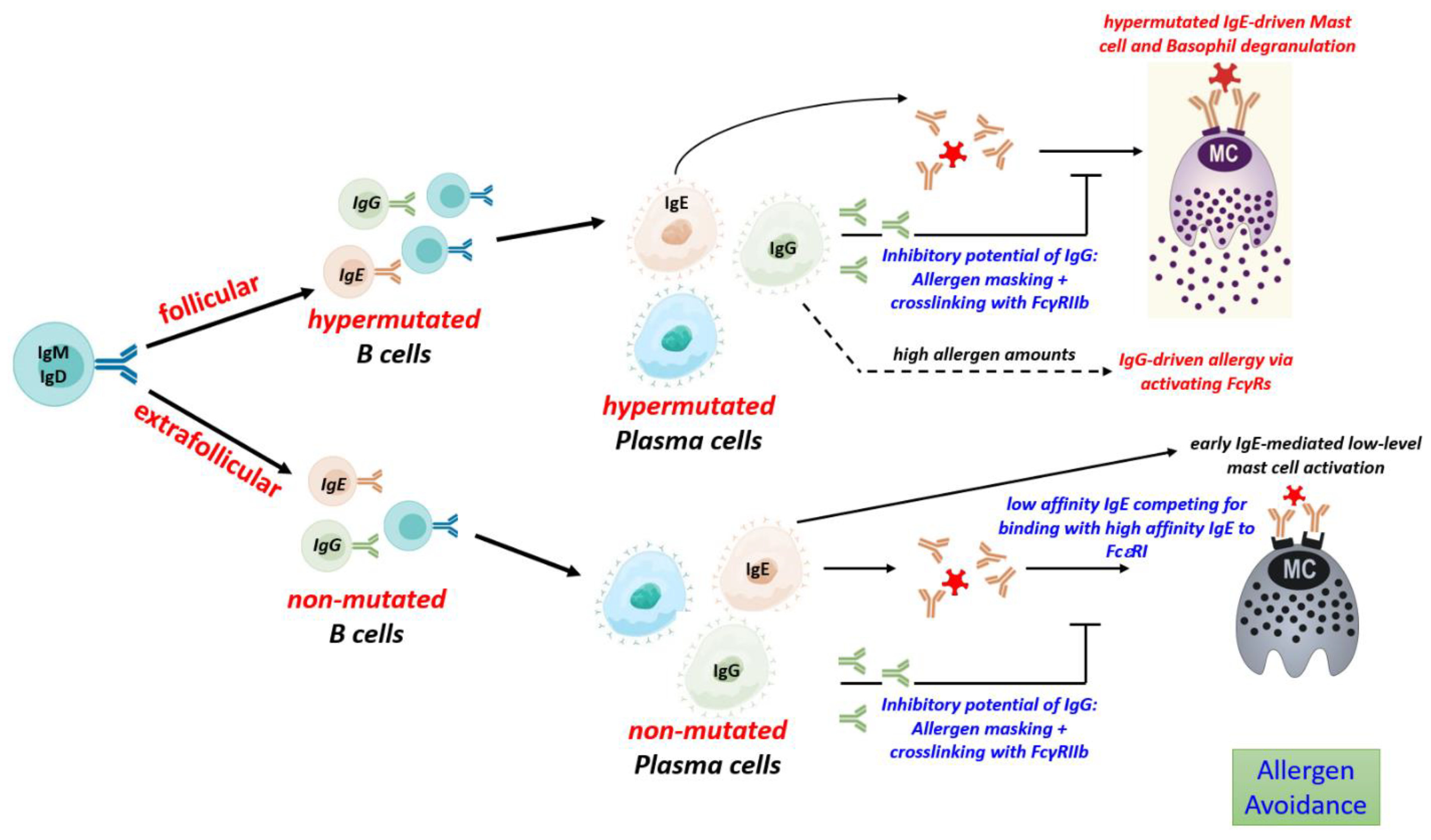 Preprints 87473 g002