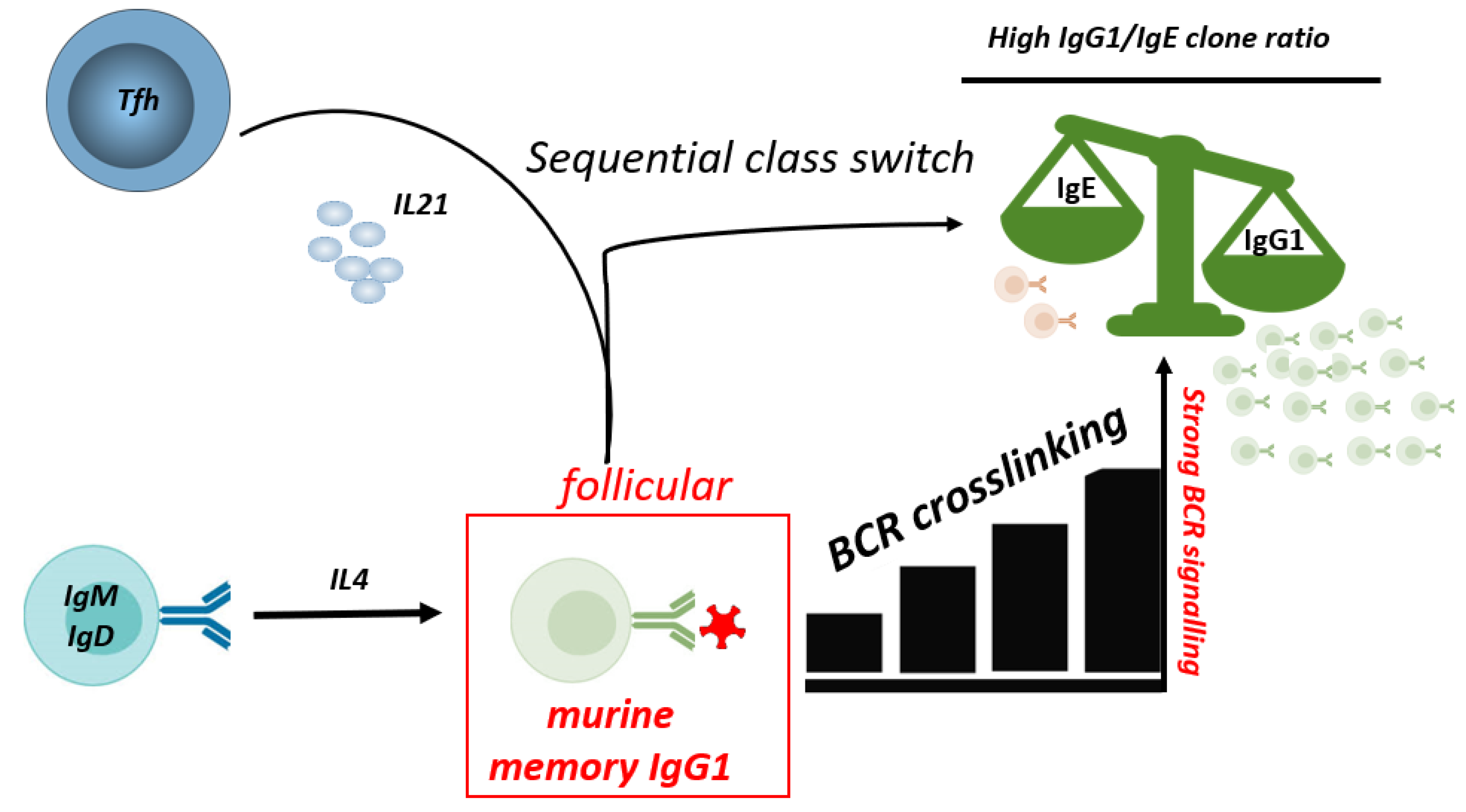 Preprints 87473 g003