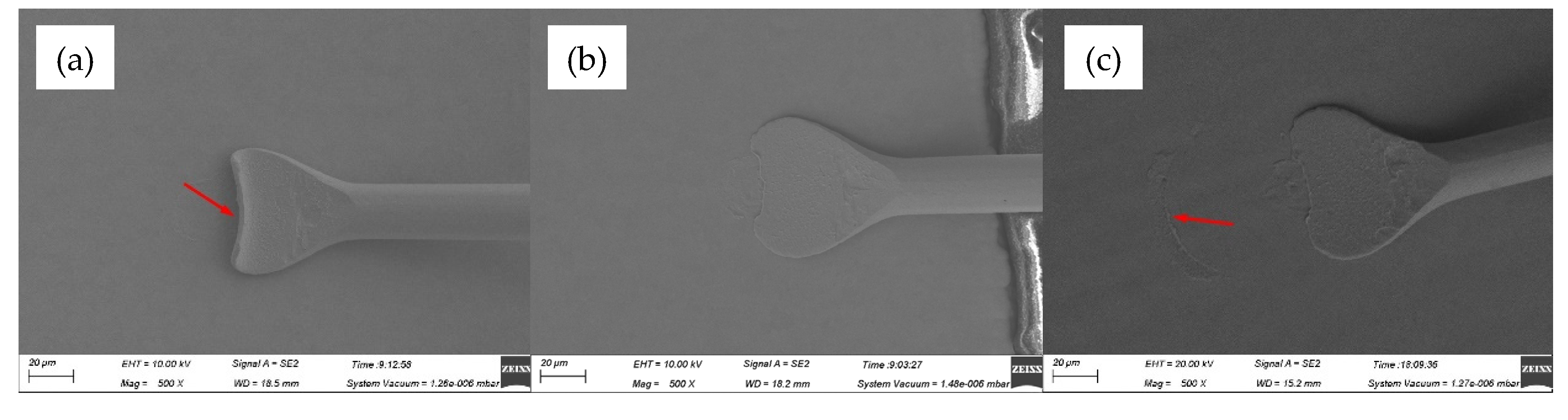 Preprints 76781 g011