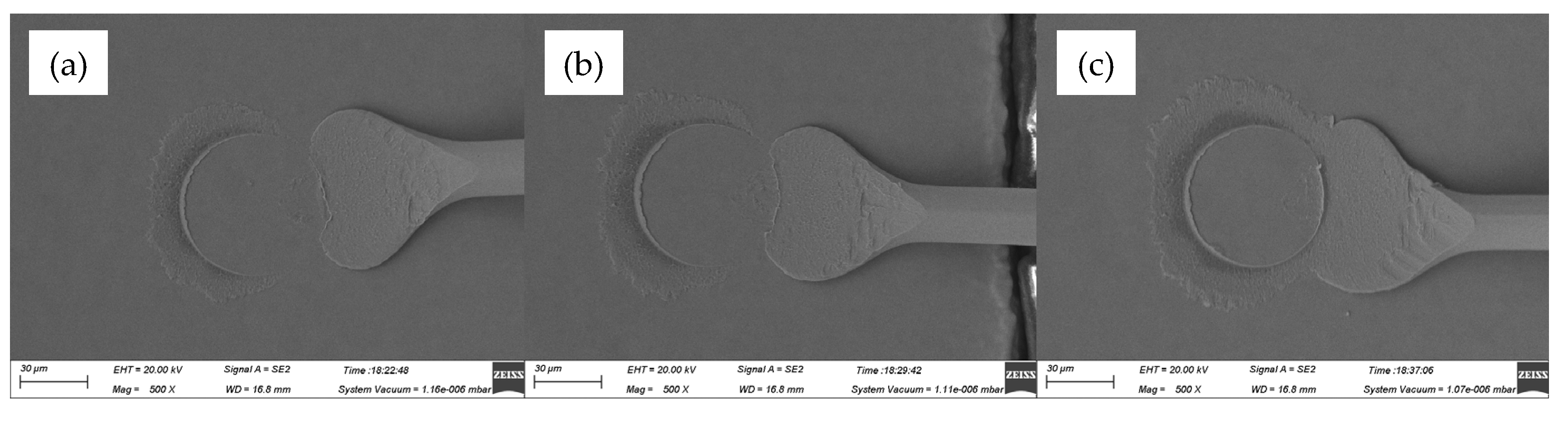 Preprints 76781 g012