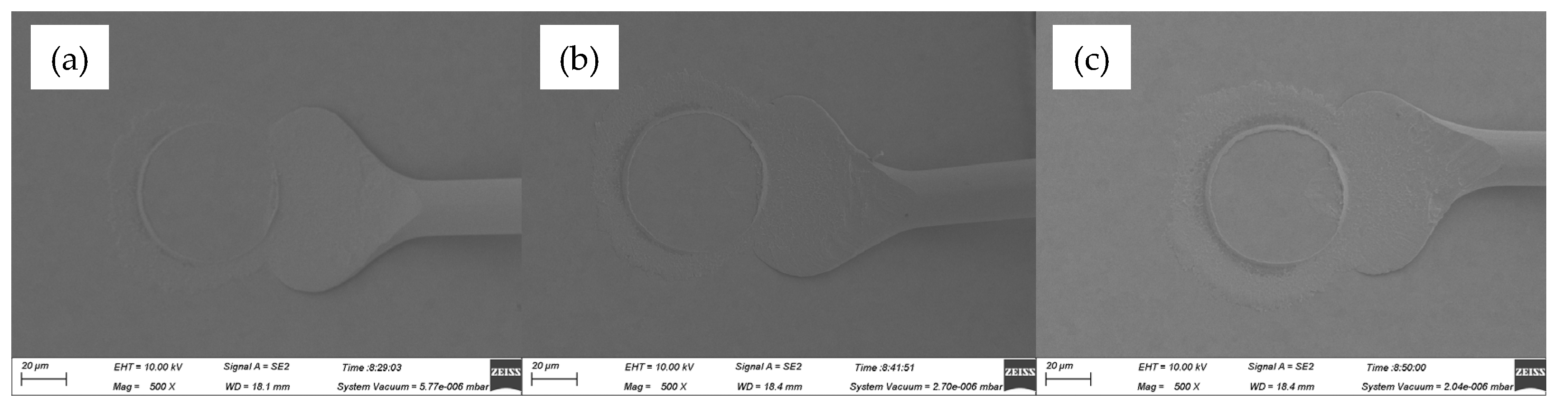 Preprints 76781 g013