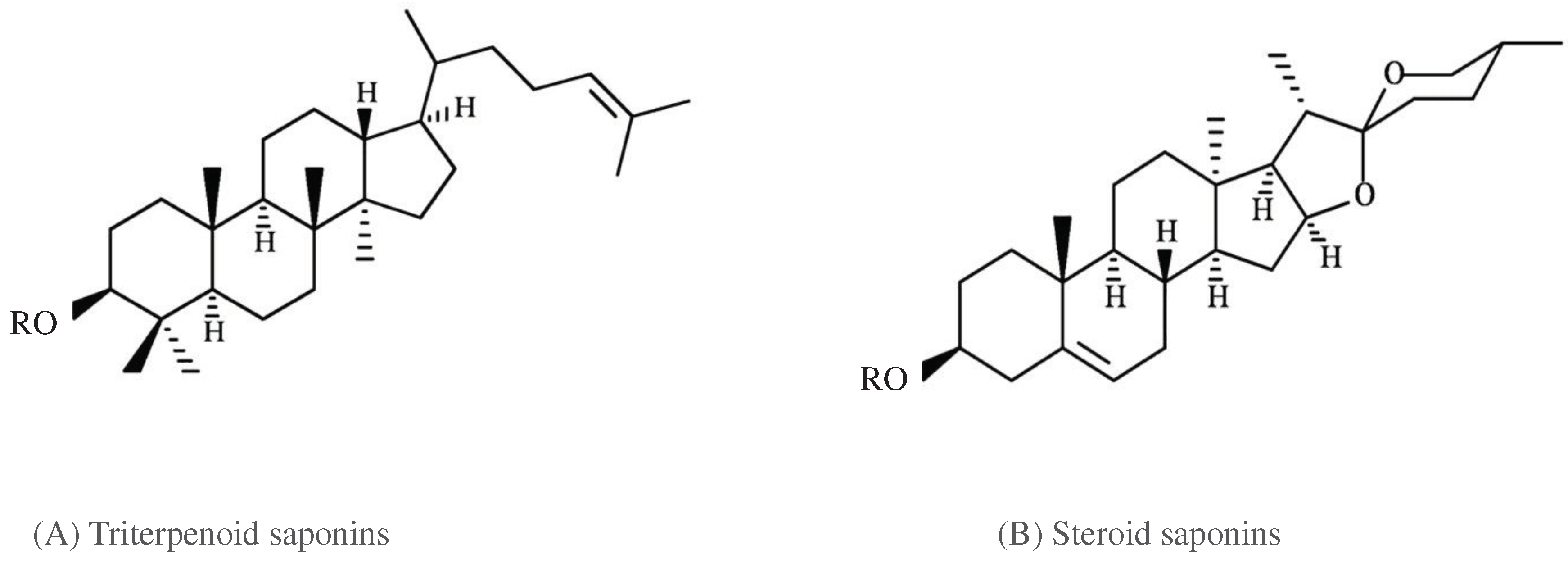 Preprints 81554 g003