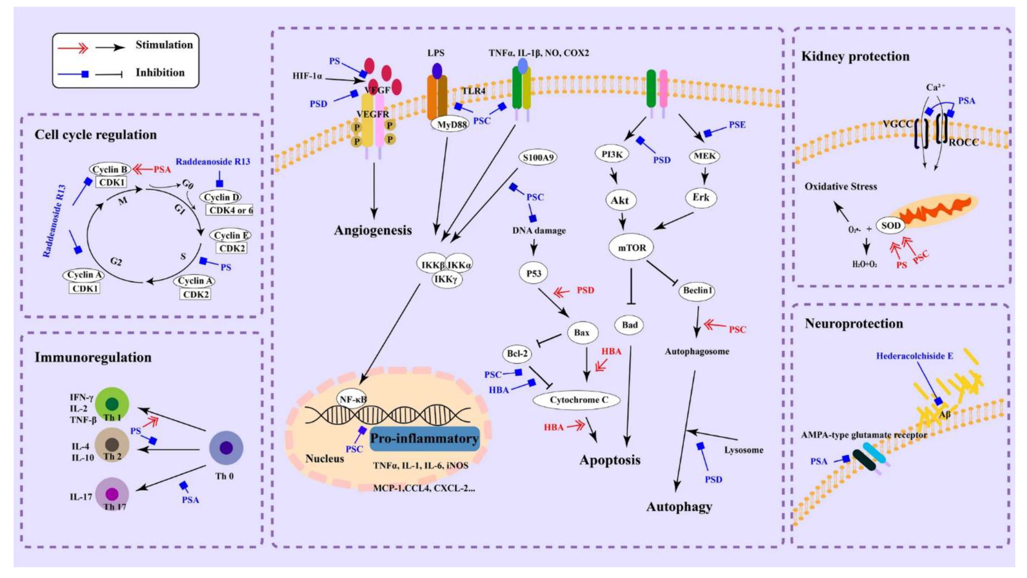 Preprints 81554 g005