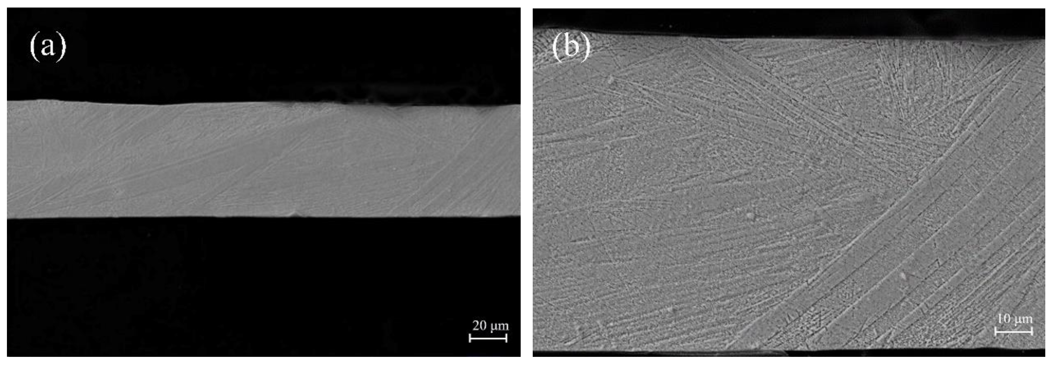 Preprints 79938 g003a