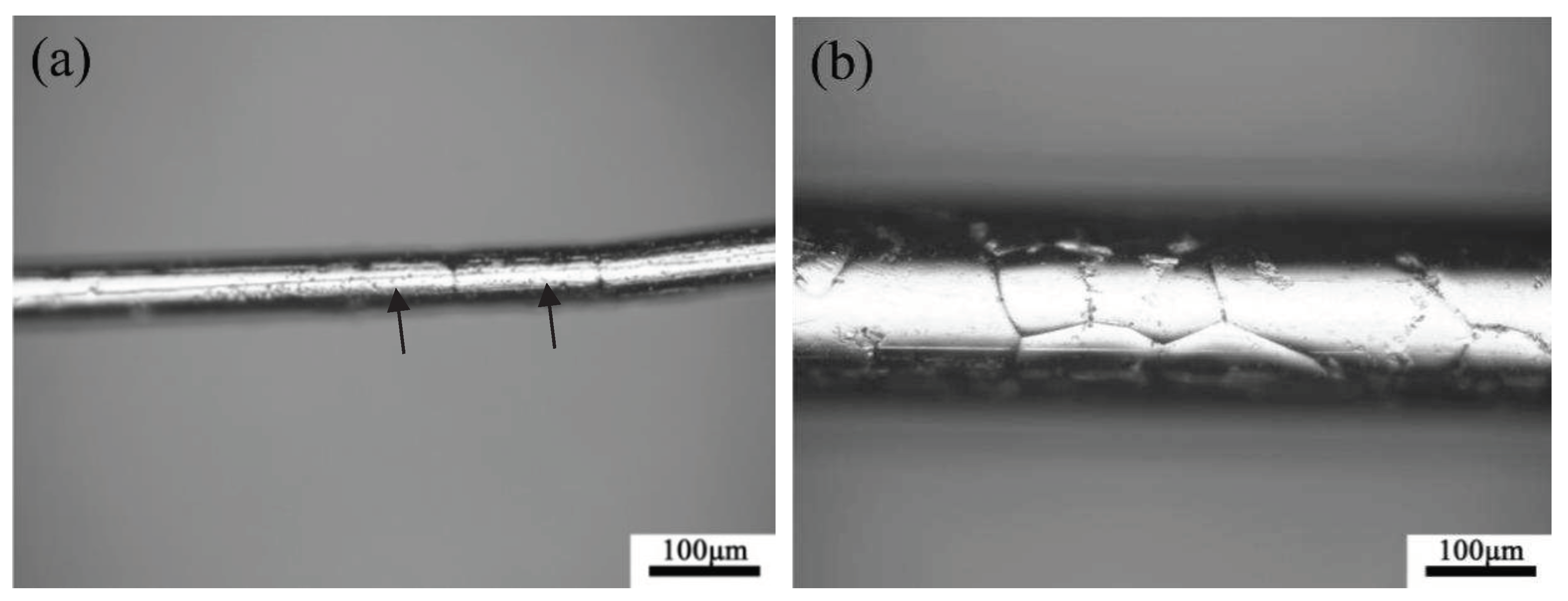 Preprints 79938 g010