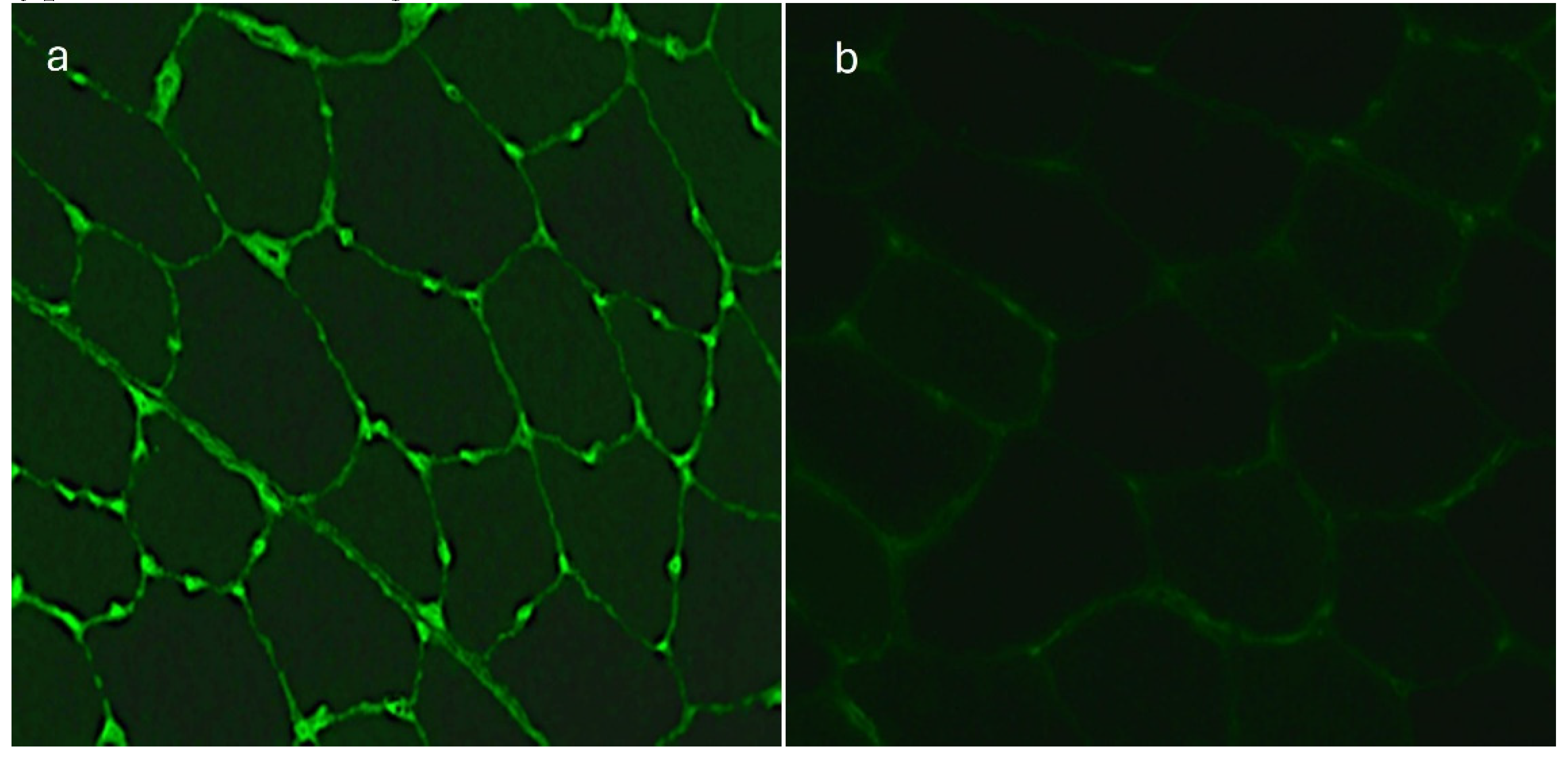 Preprints 104657 g004