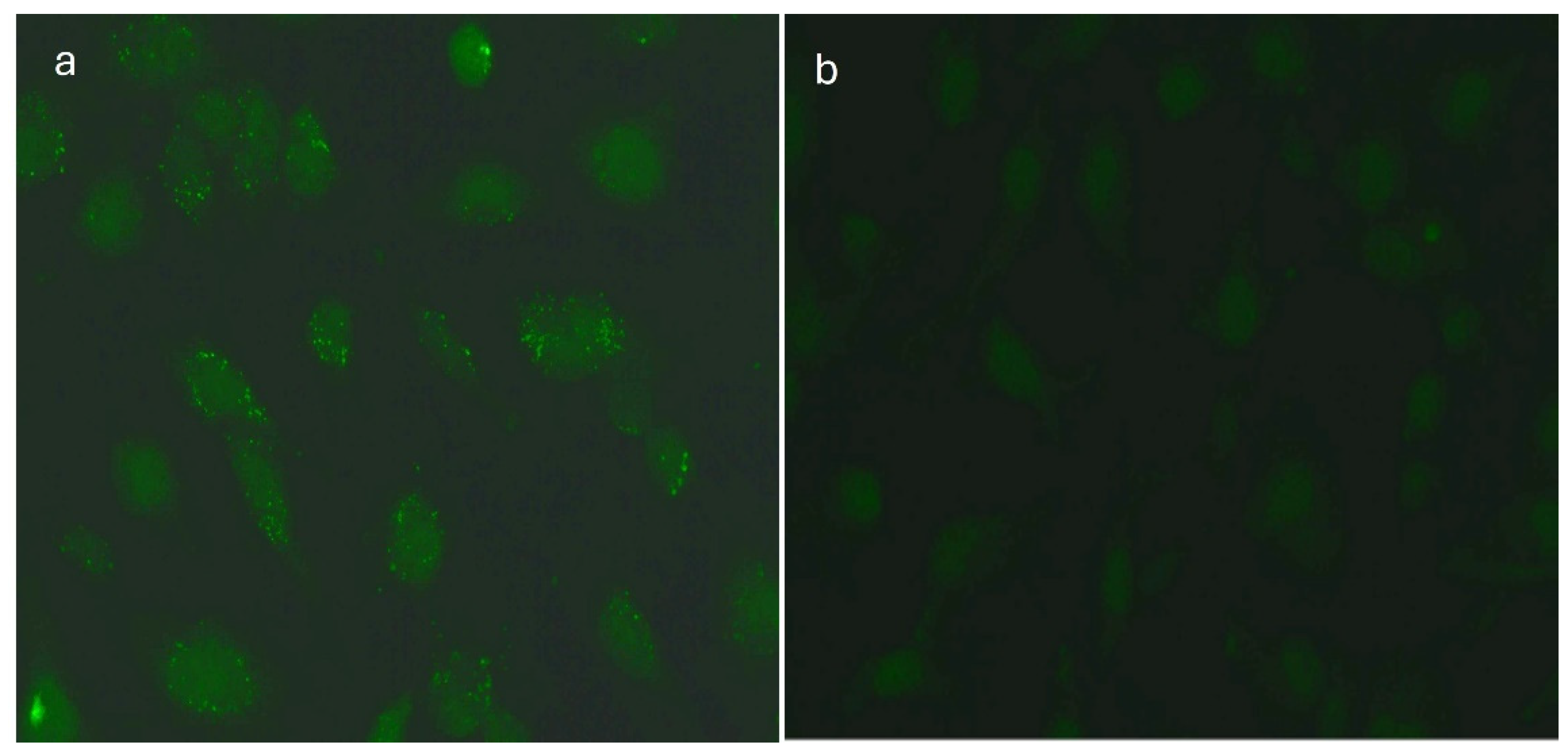 Preprints 104657 g005