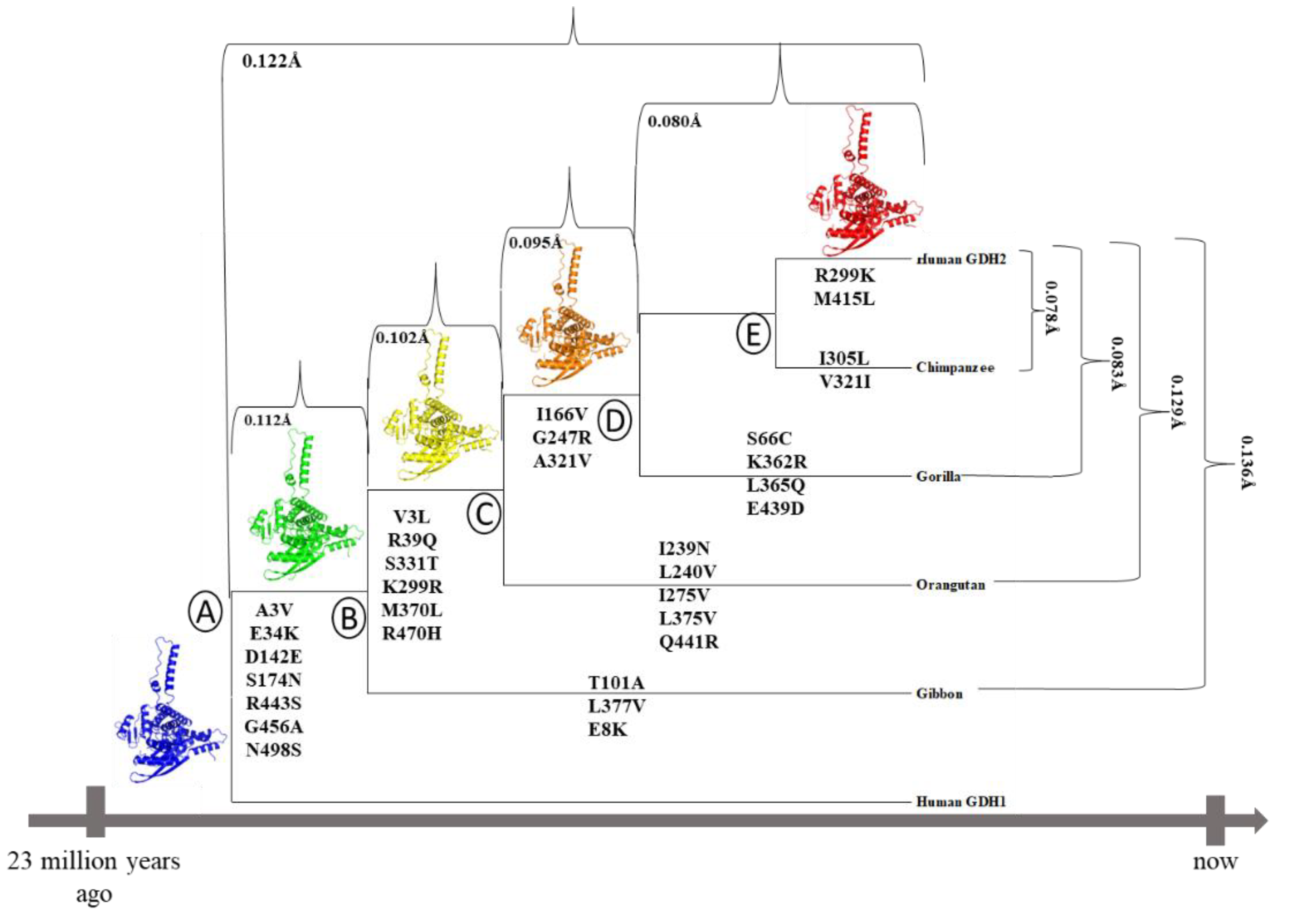 Preprints 75109 g001