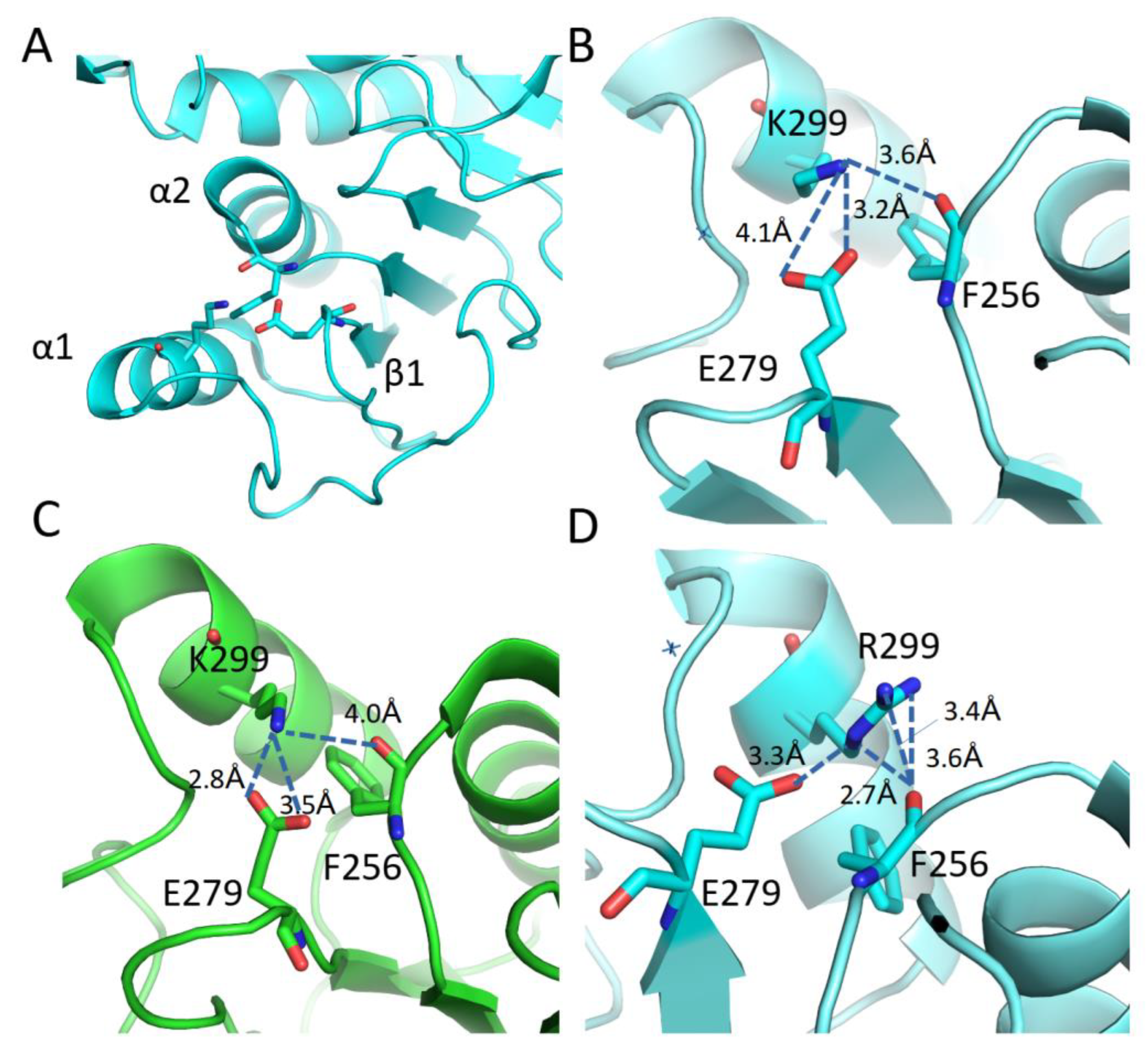 Preprints 75109 g008