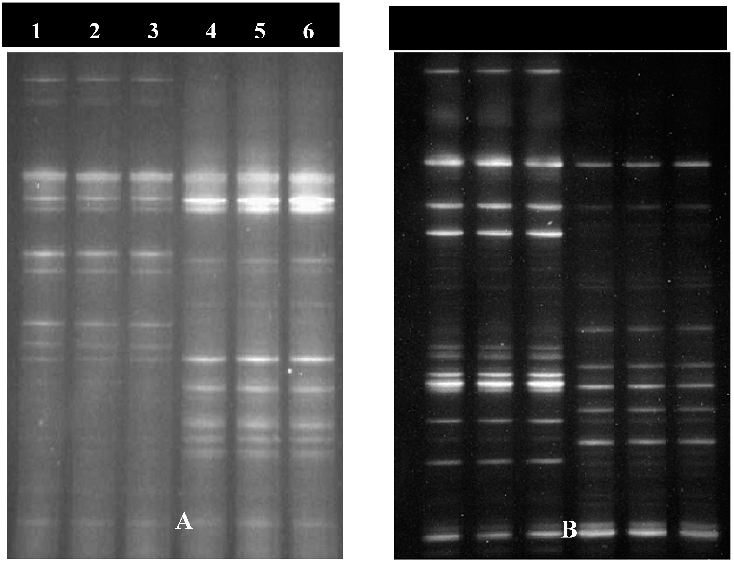 Preprints 84623 g001