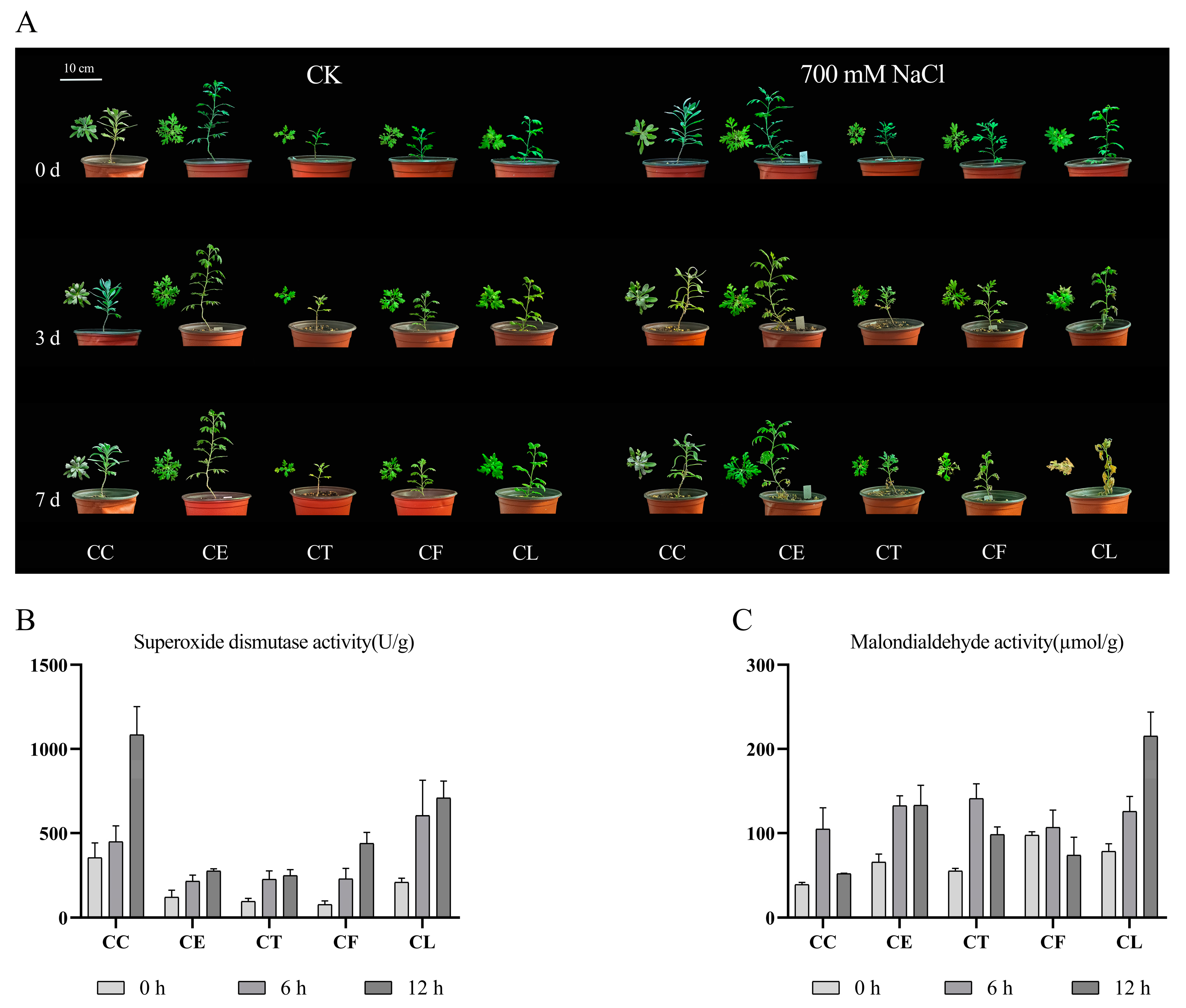 Preprints 86777 g001