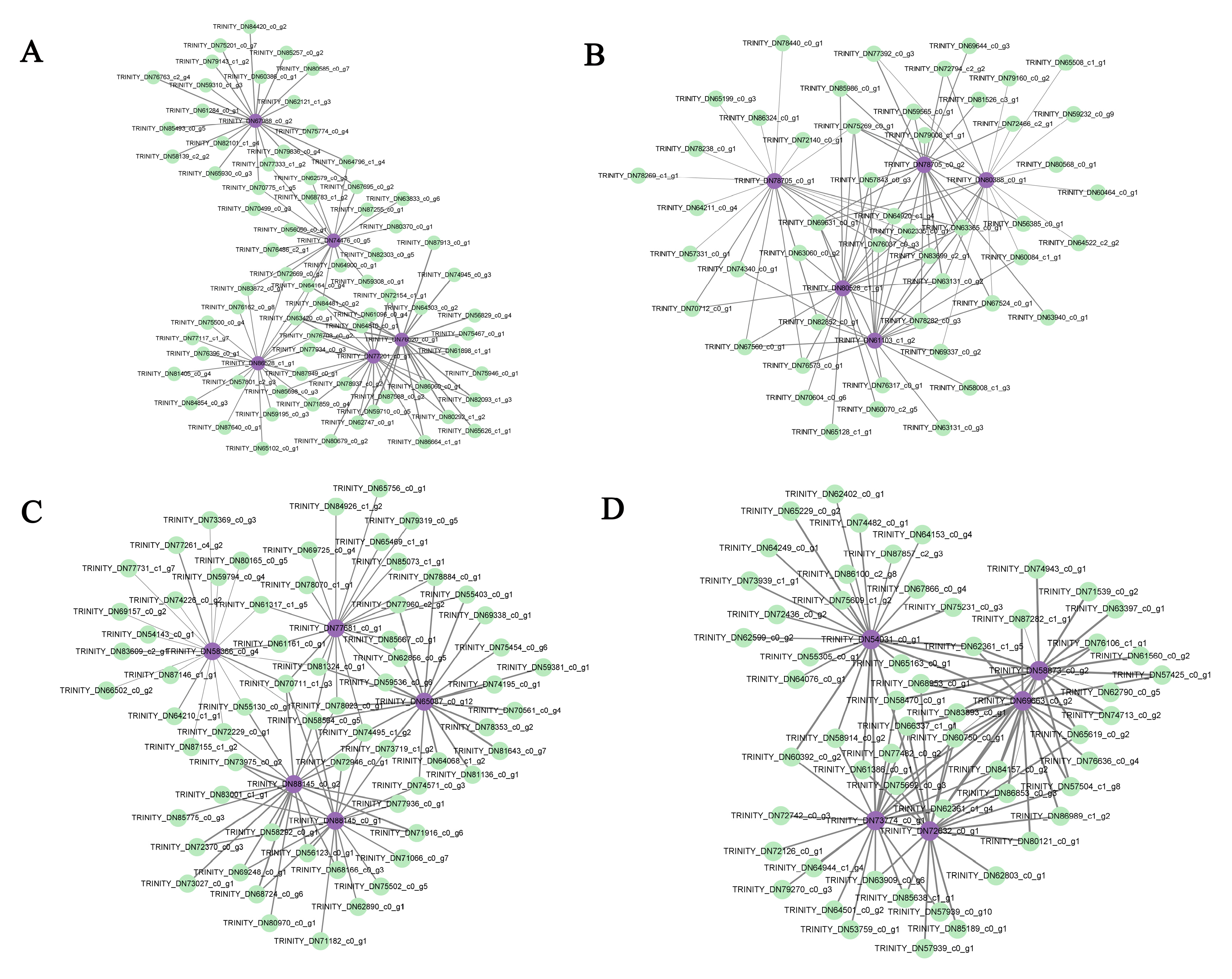 Preprints 86777 g008