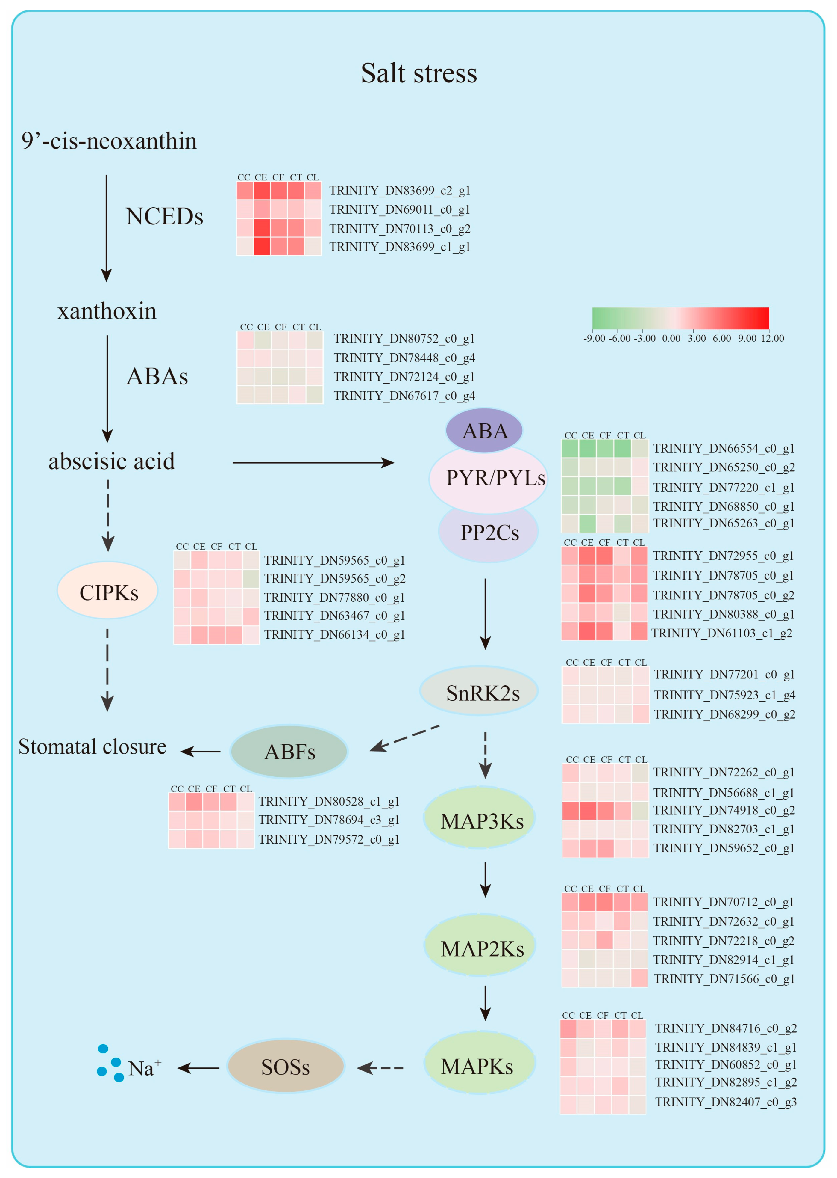 Preprints 86777 g010