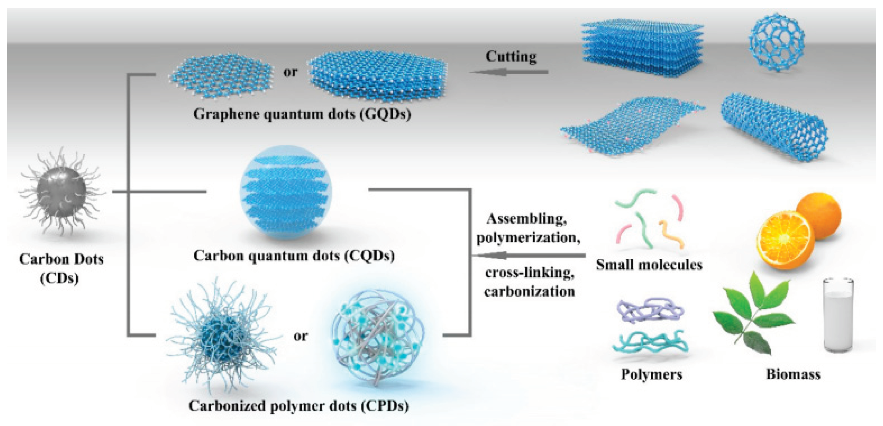 Preprints 102893 g001