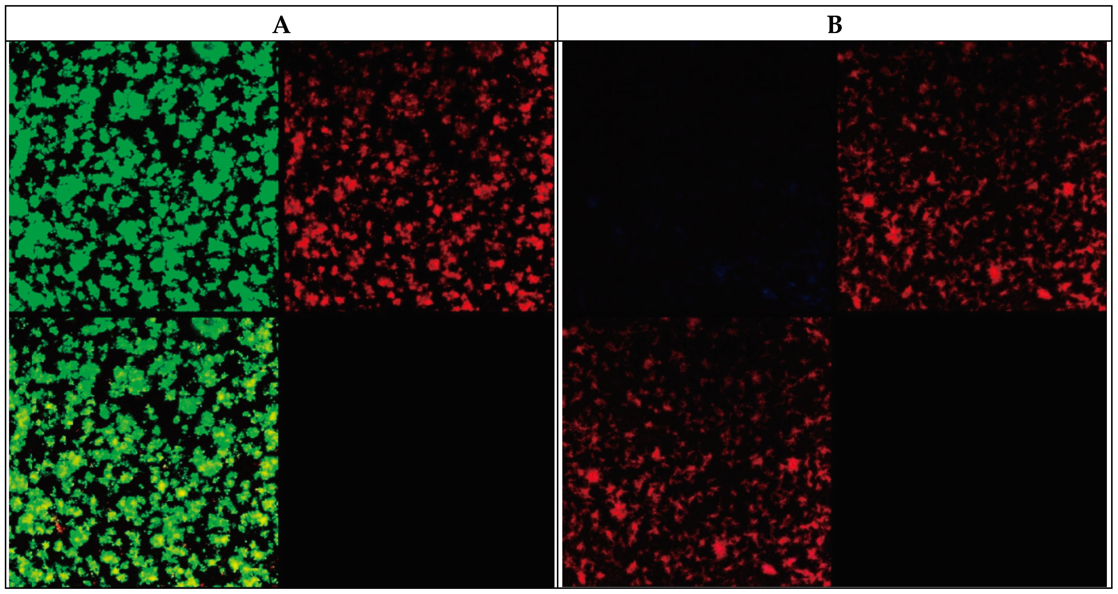 Preprints 99854 g002a