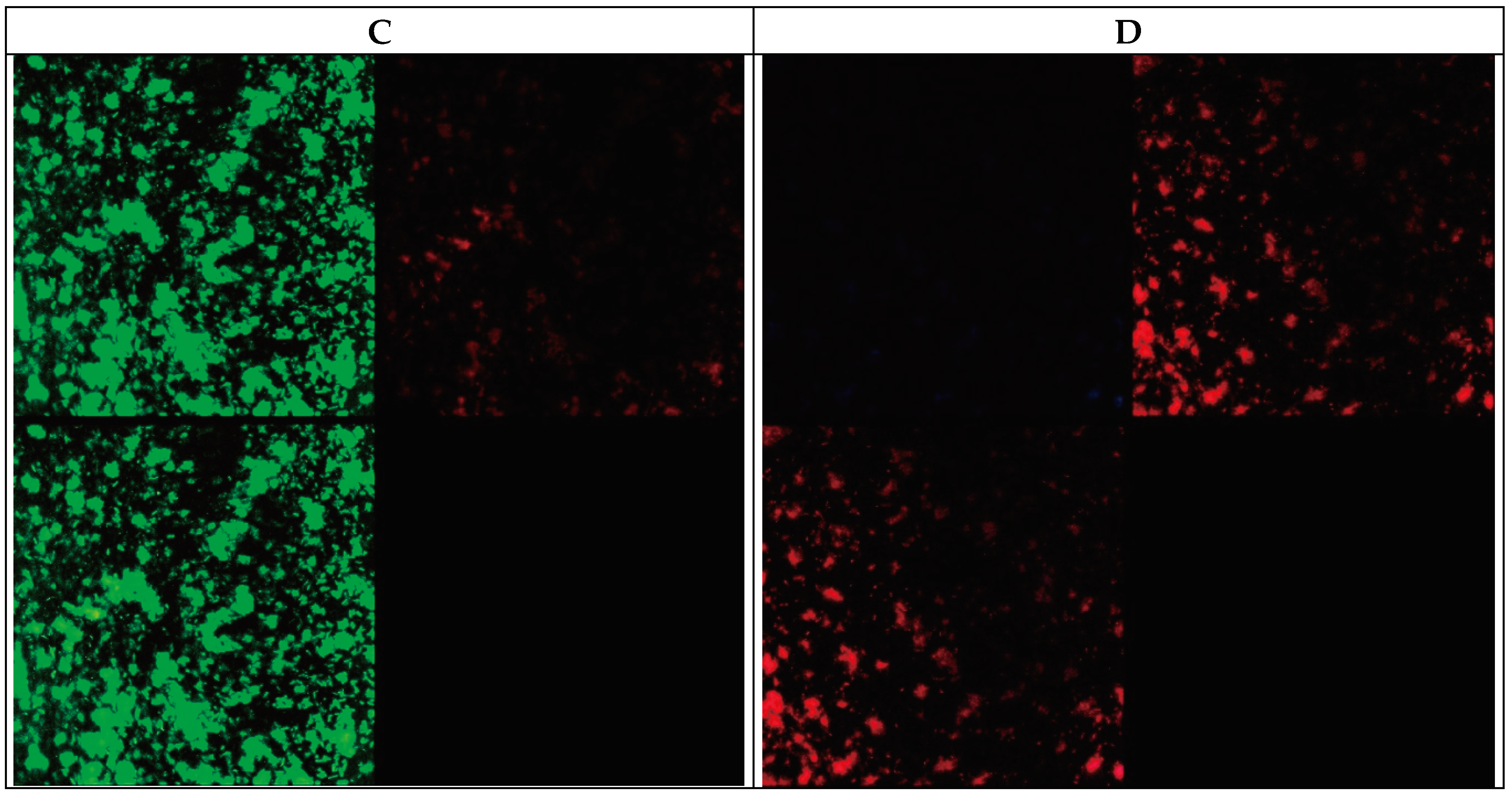 Preprints 99854 g002b