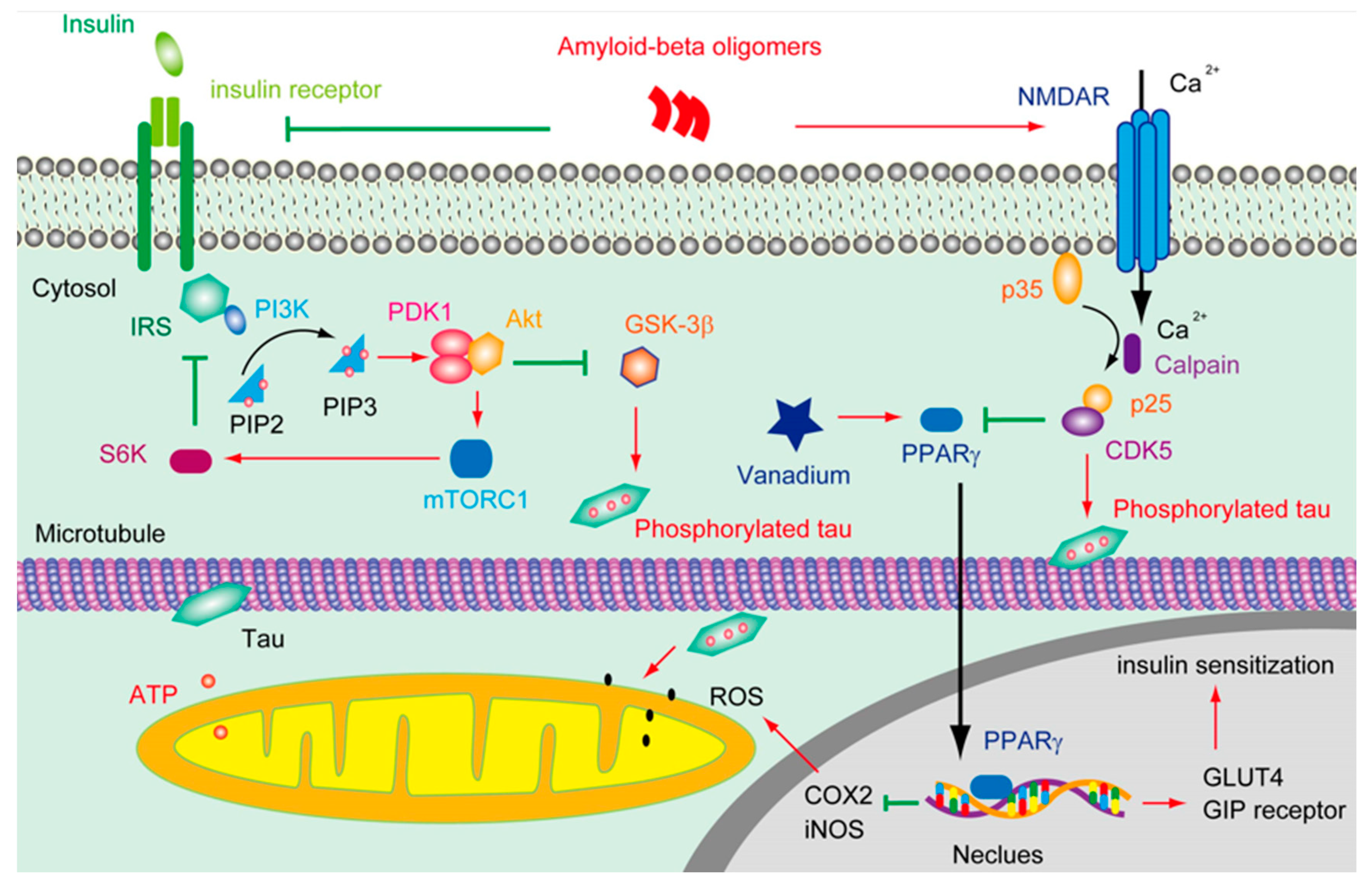 Preprints 80096 g001