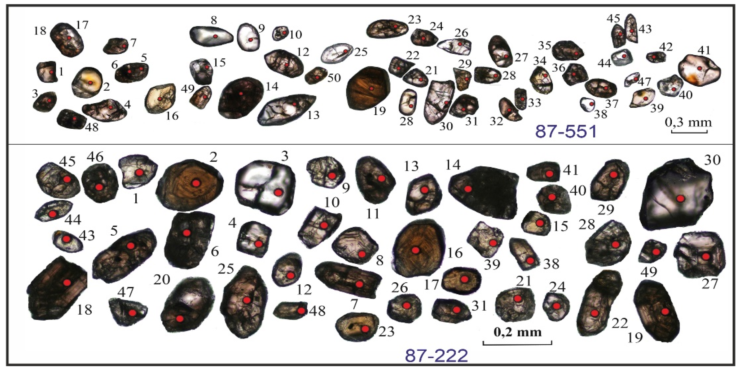 Preprints 114902 g005