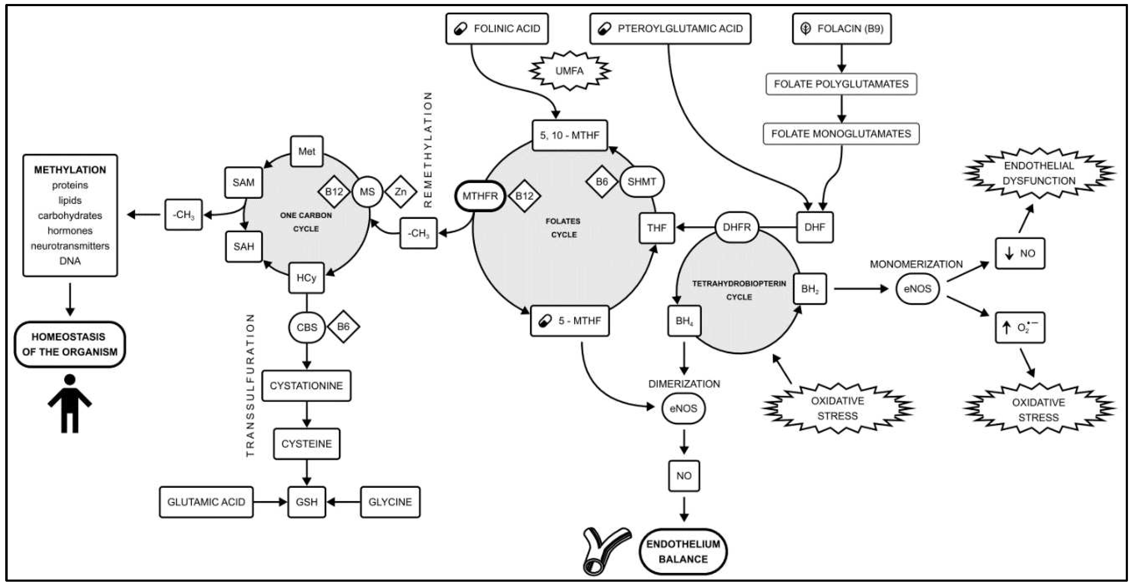 Preprints 79340 g001