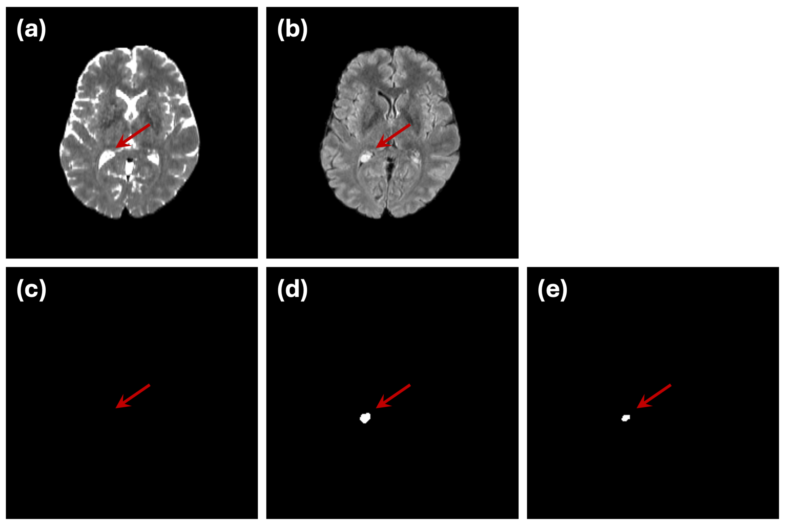 Preprints 137478 g006