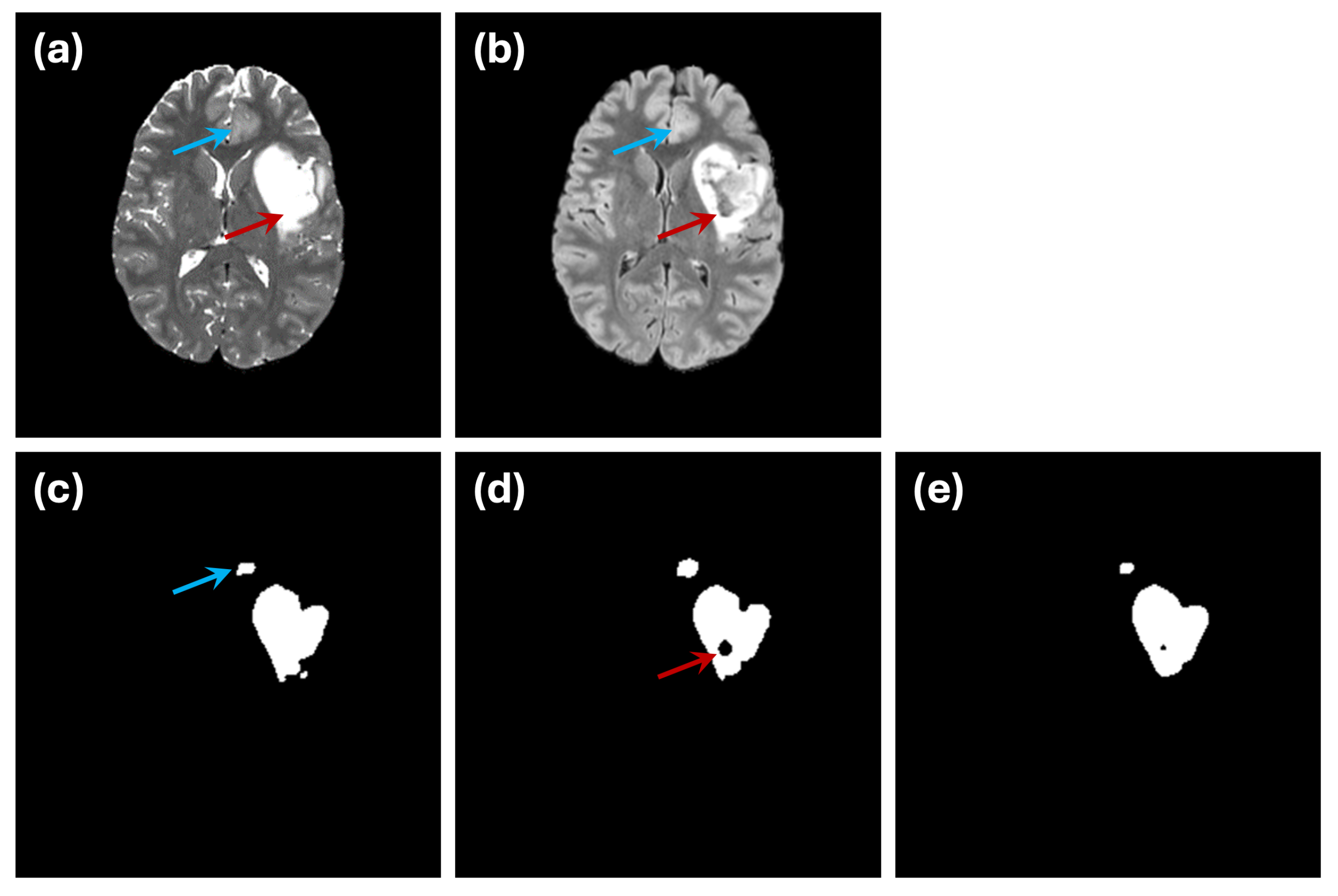 Preprints 137478 g007