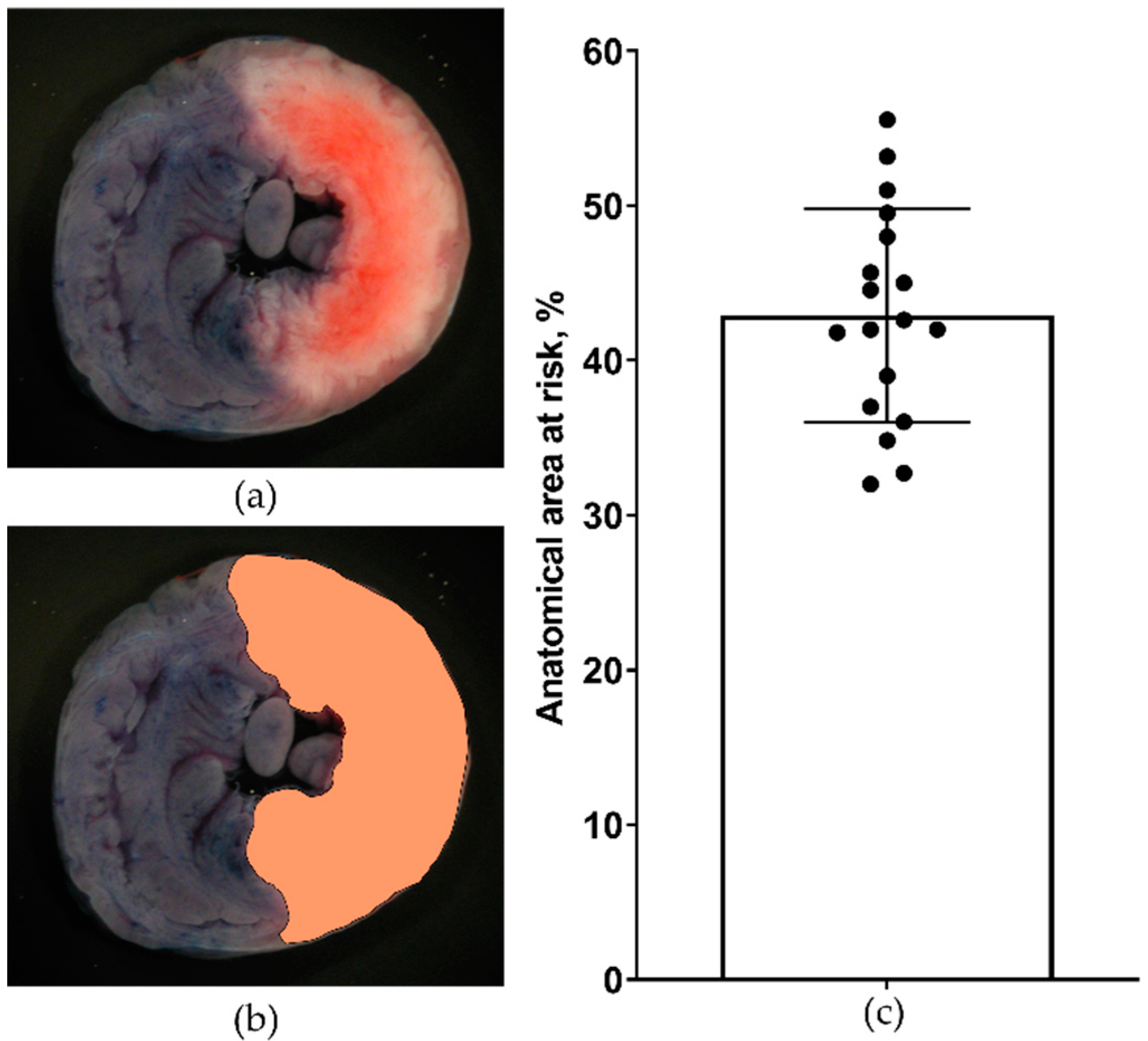 Preprints 81324 g003