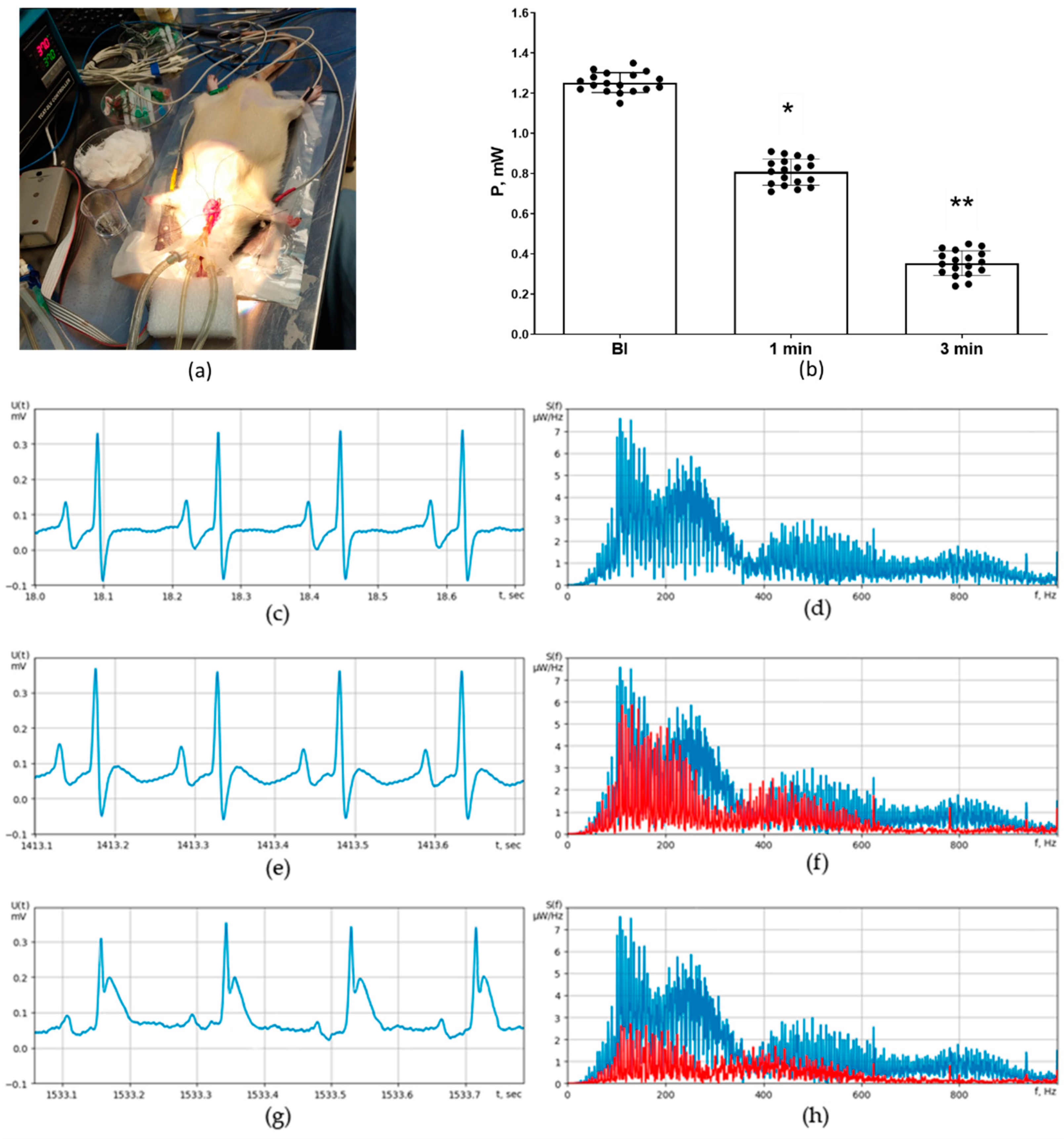 Preprints 81324 g004