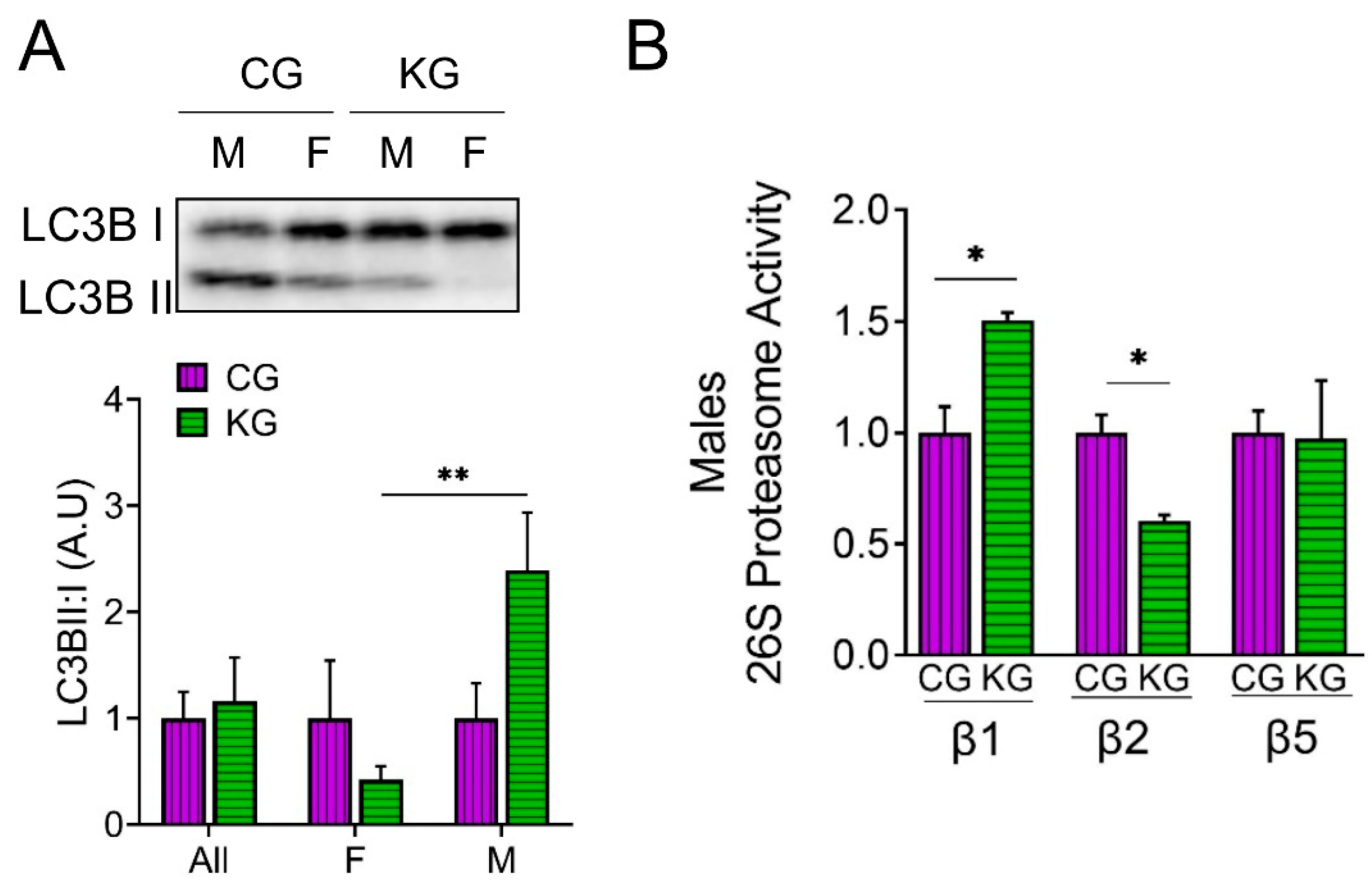 Preprints 75881 g006