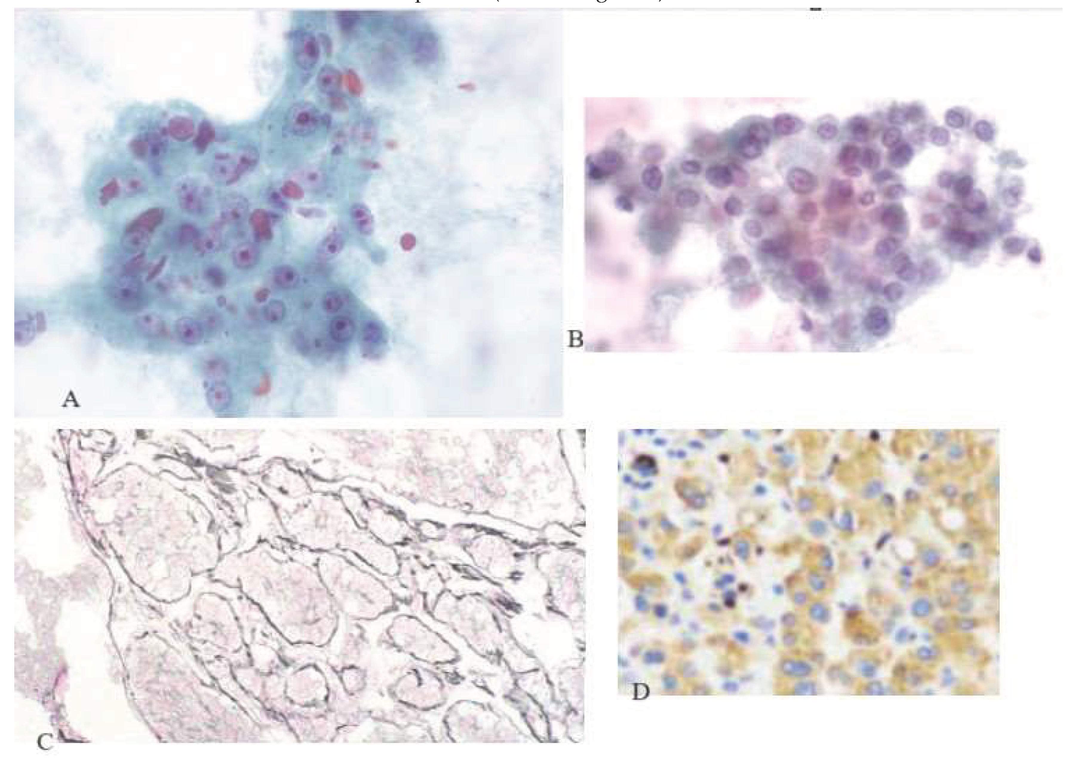 Preprints 100535 g002