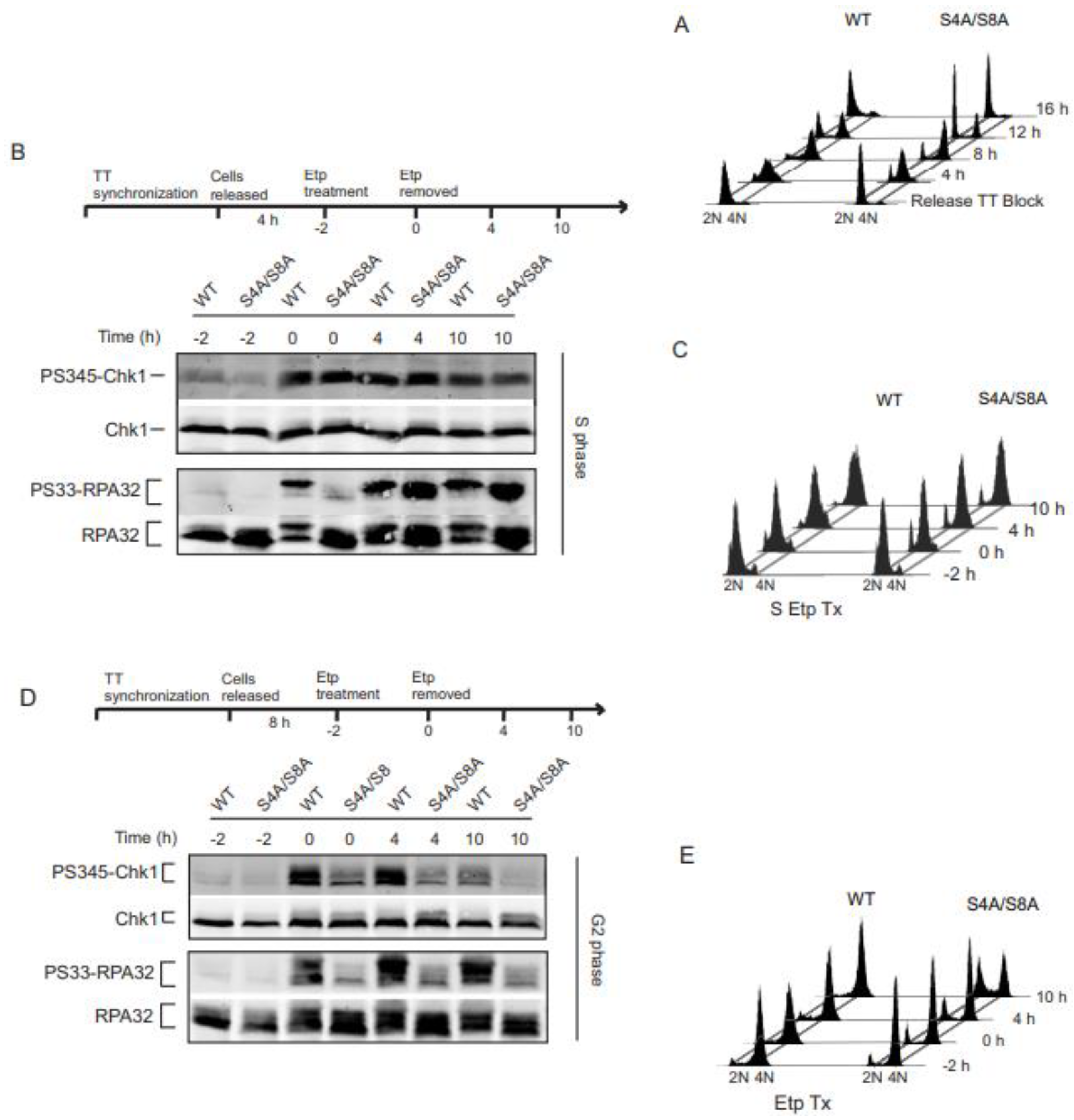 Preprints 91321 g001