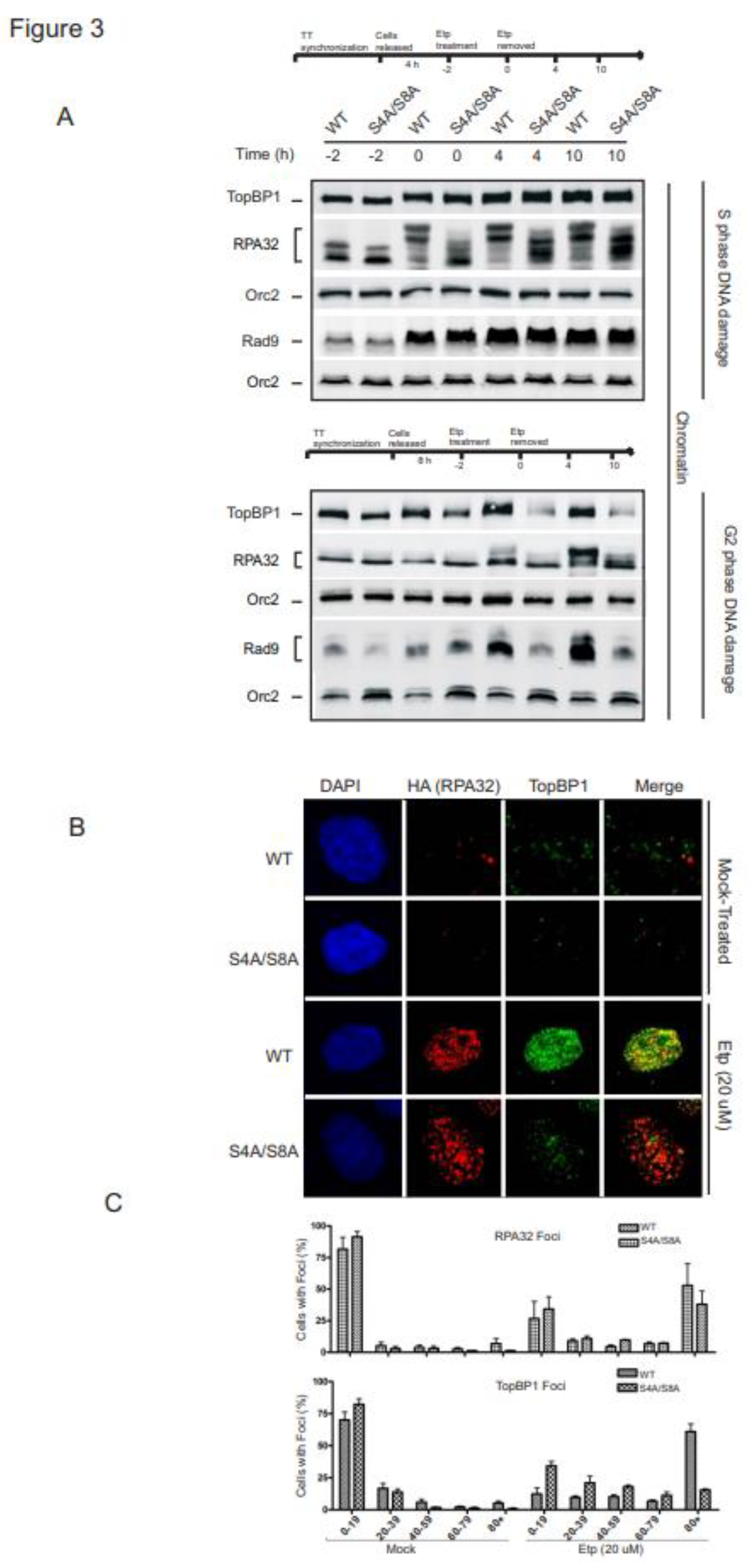 Preprints 91321 g003