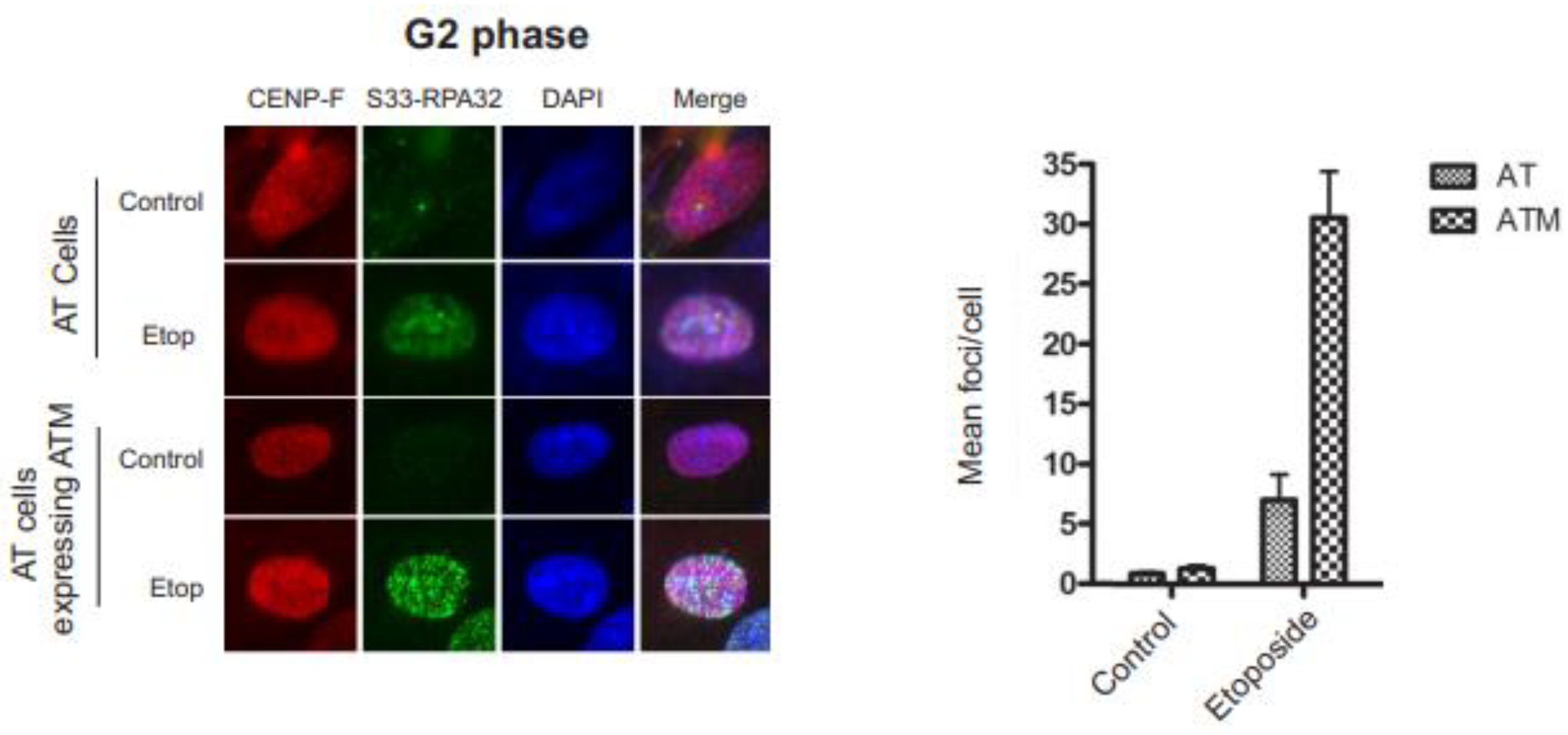 Preprints 91321 g004