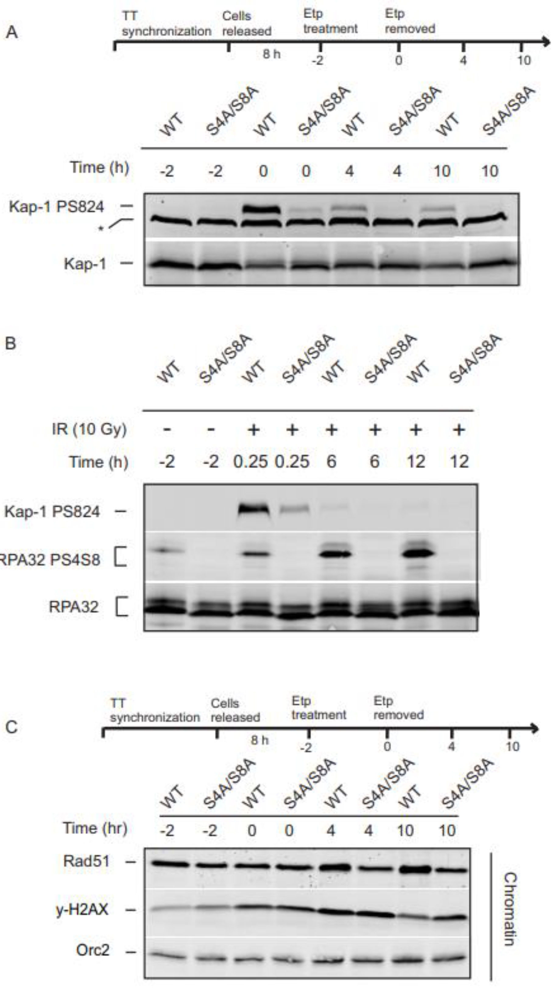 Preprints 91321 g005