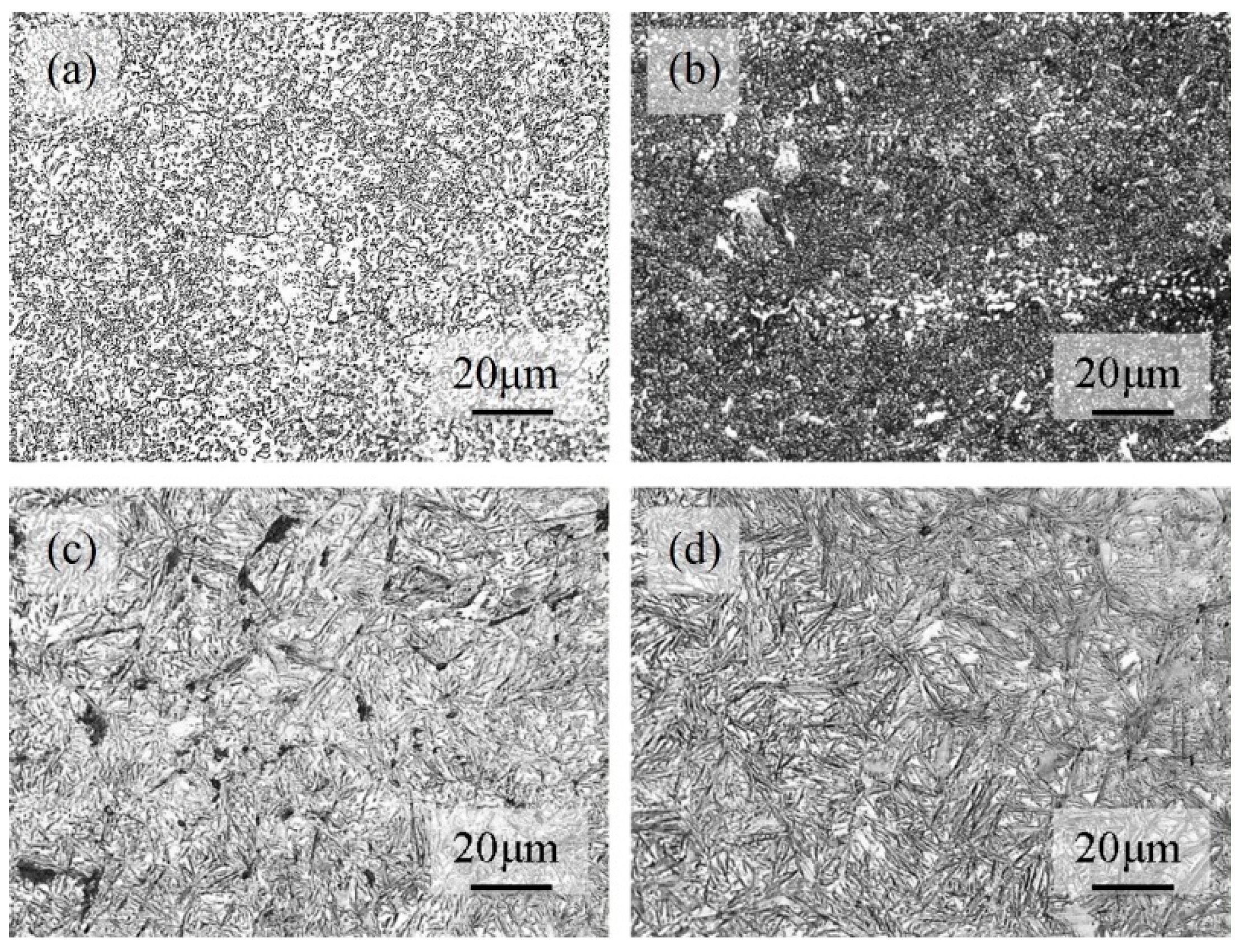 Preprints 95015 g003