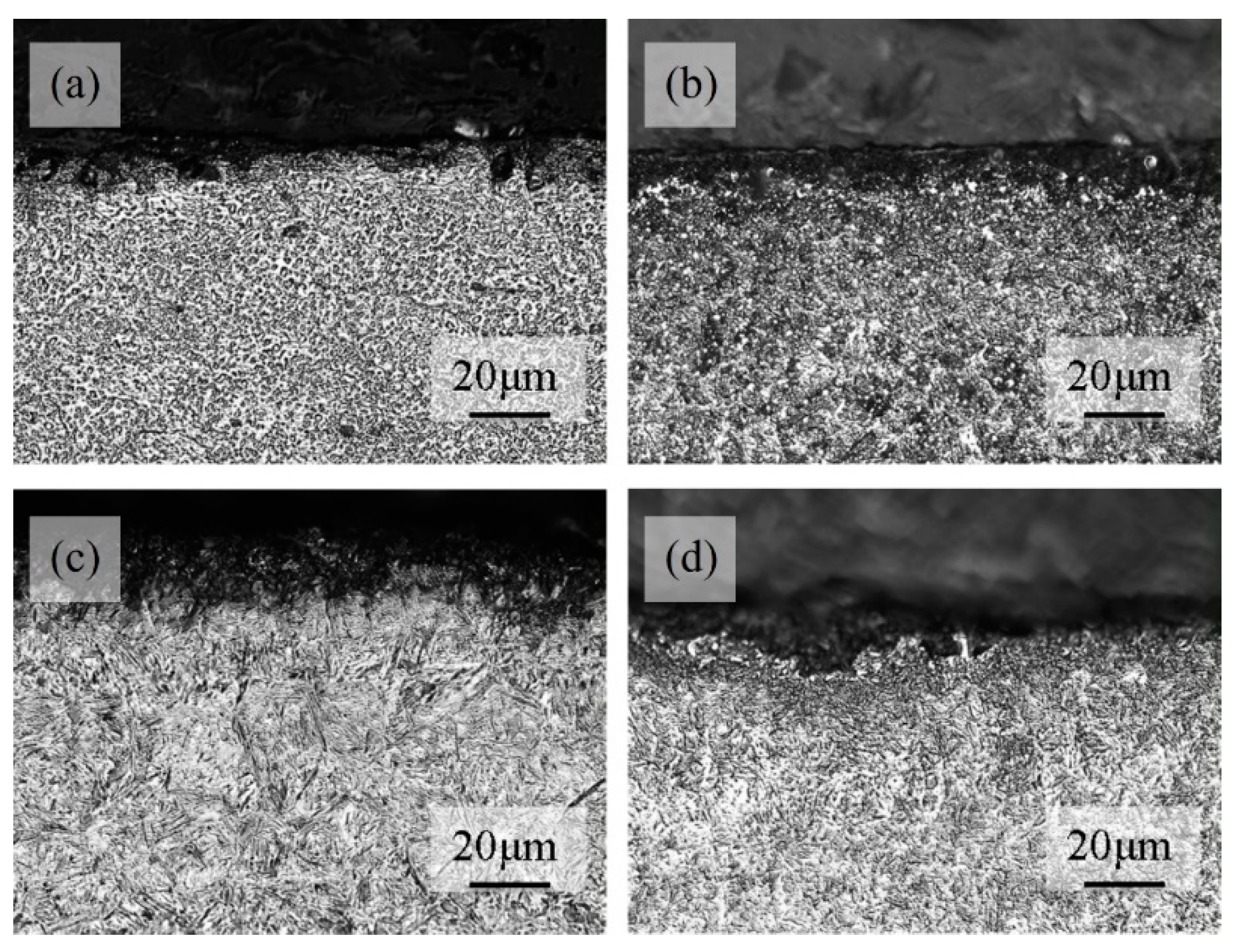 Preprints 95015 g004