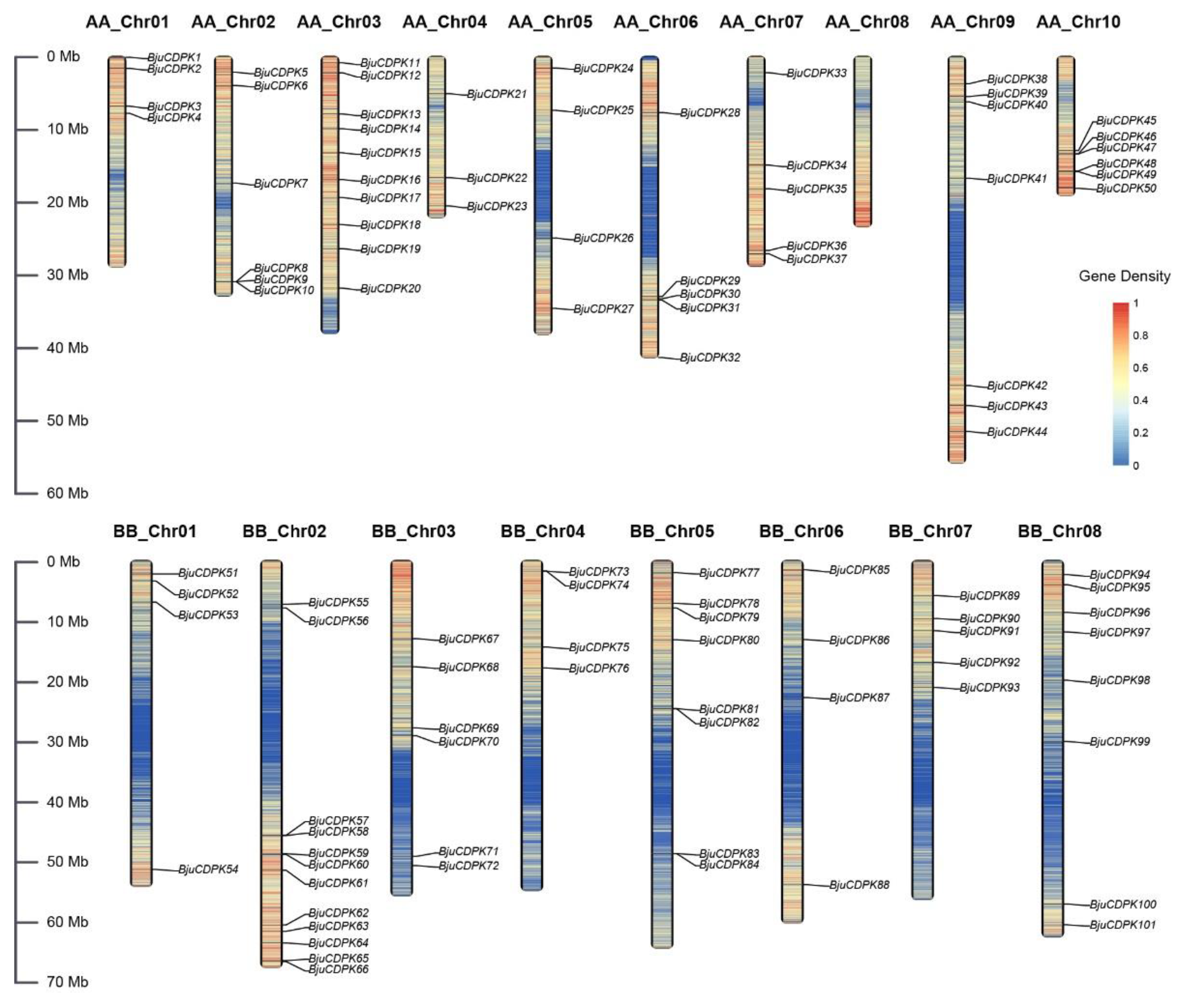 Preprints 89868 g001