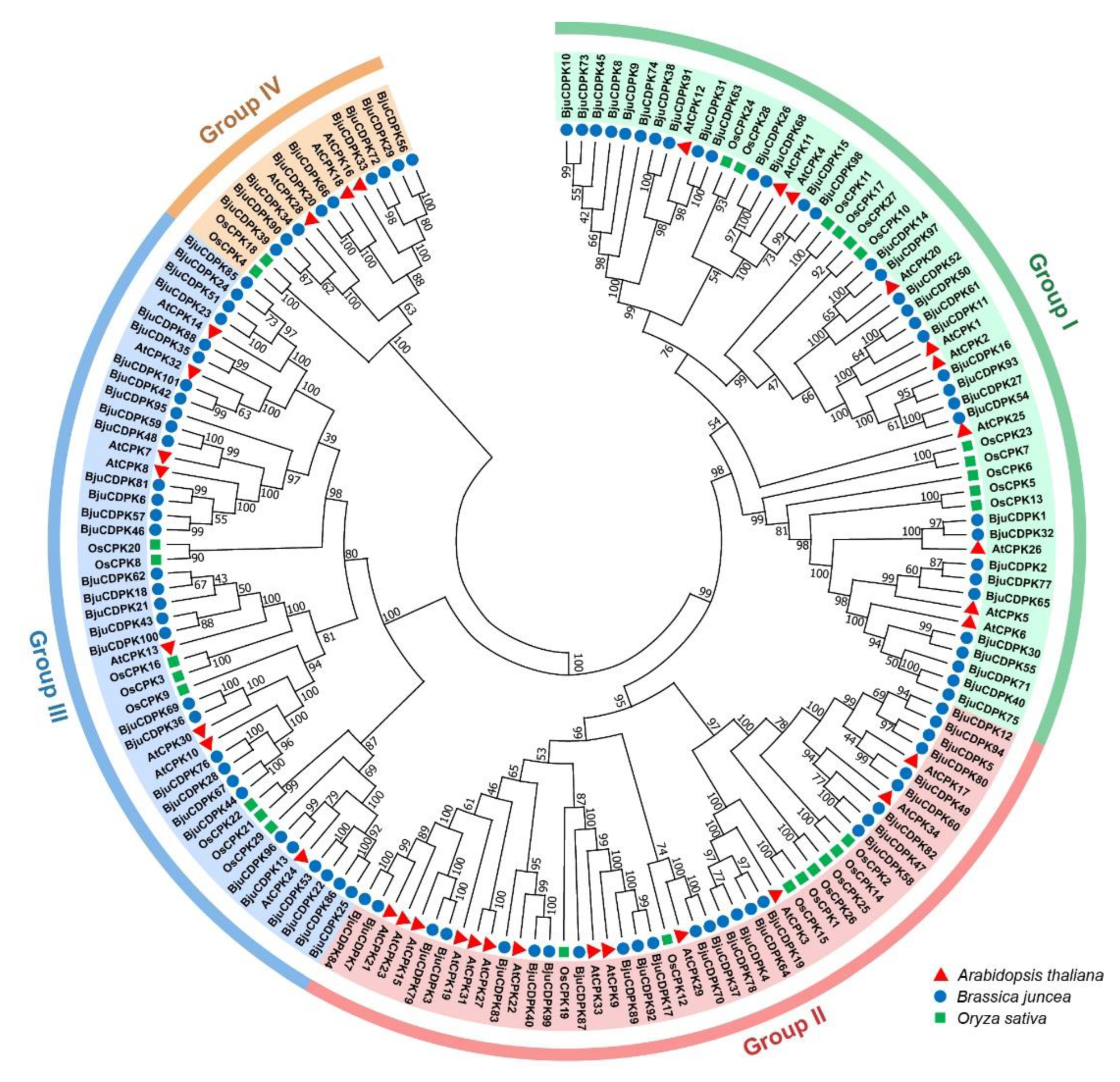 Preprints 89868 g002