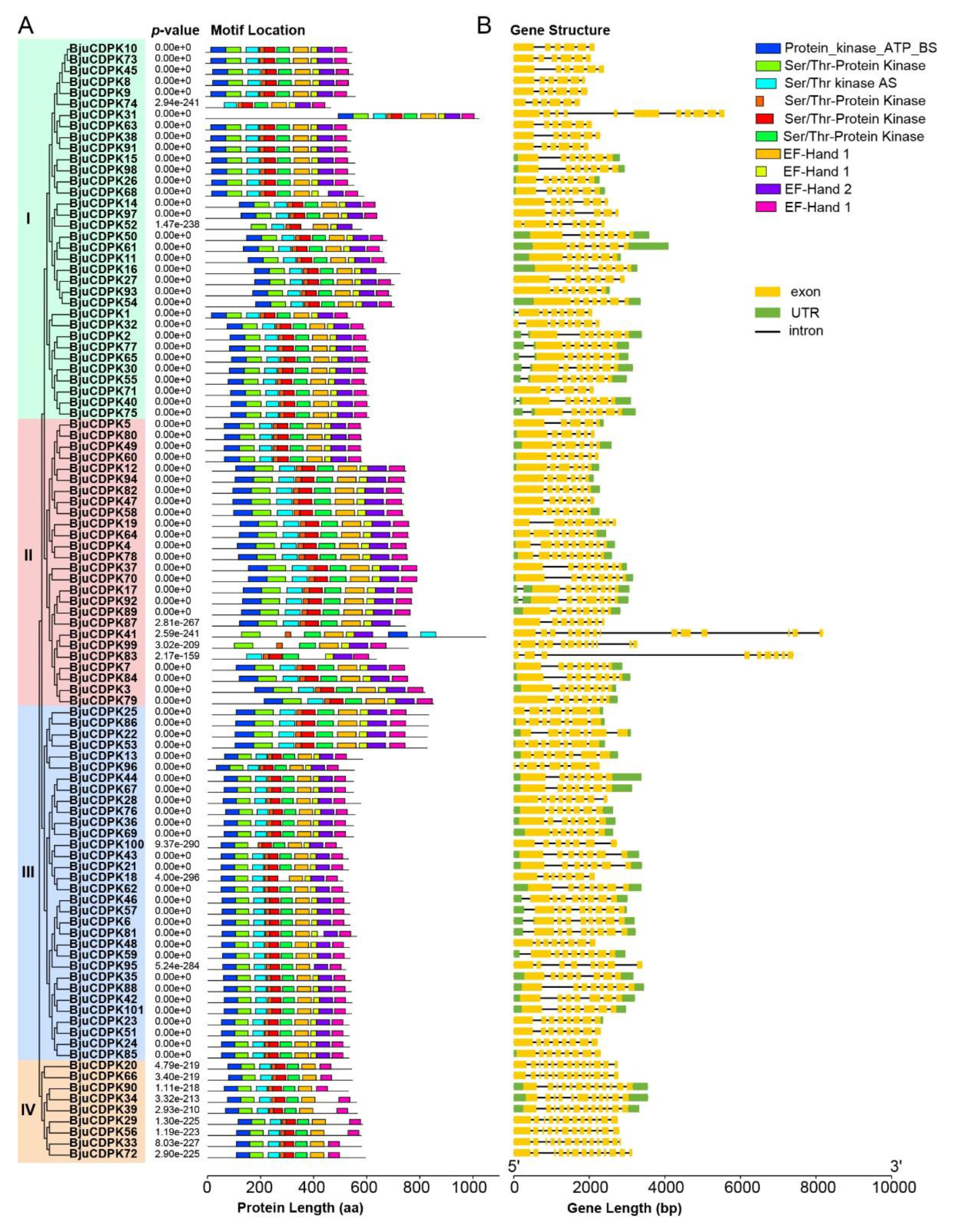 Preprints 89868 g003